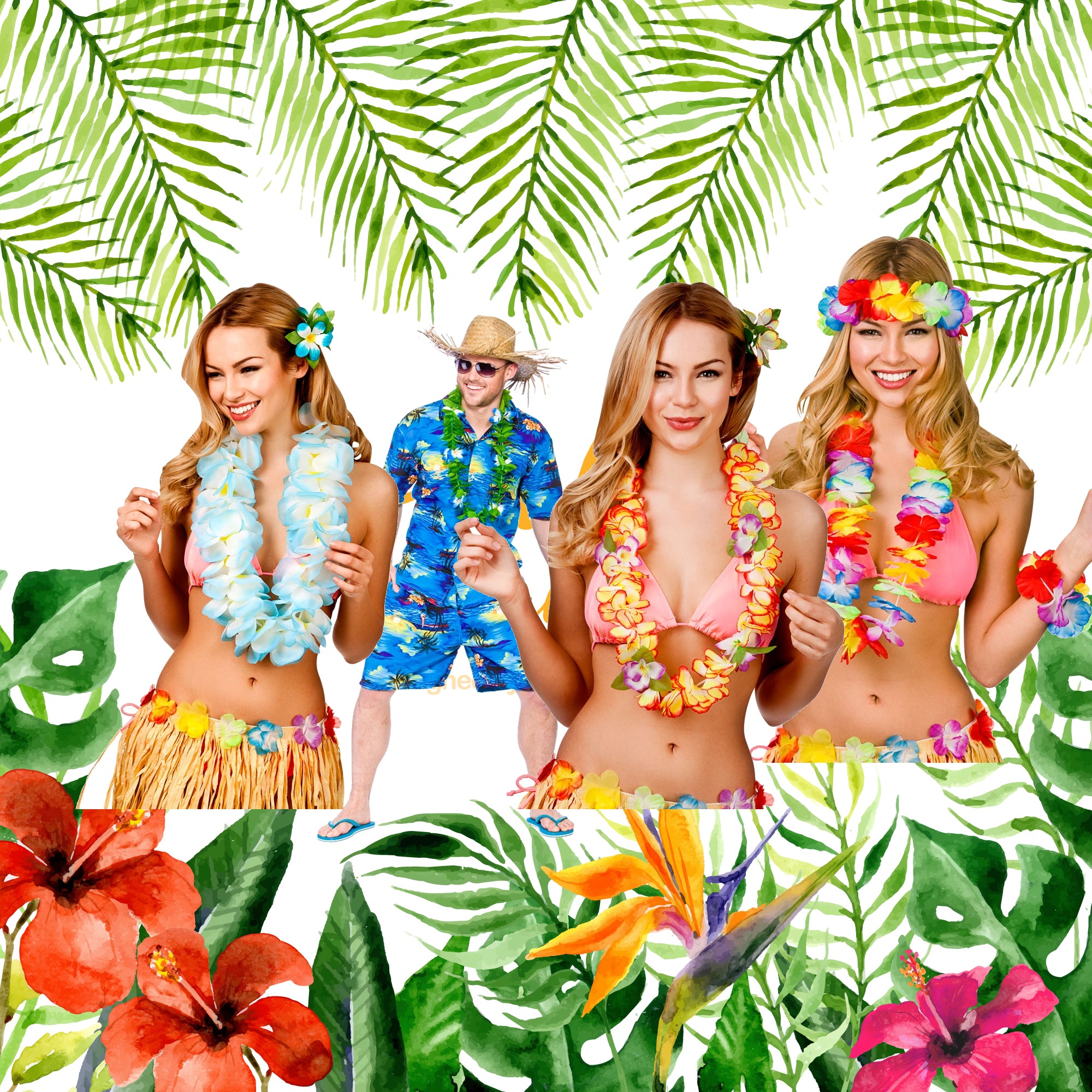 Elf Hawaii, Hula, Coconut Bra, Grass Skirt Set, Elf Clothing, Doll