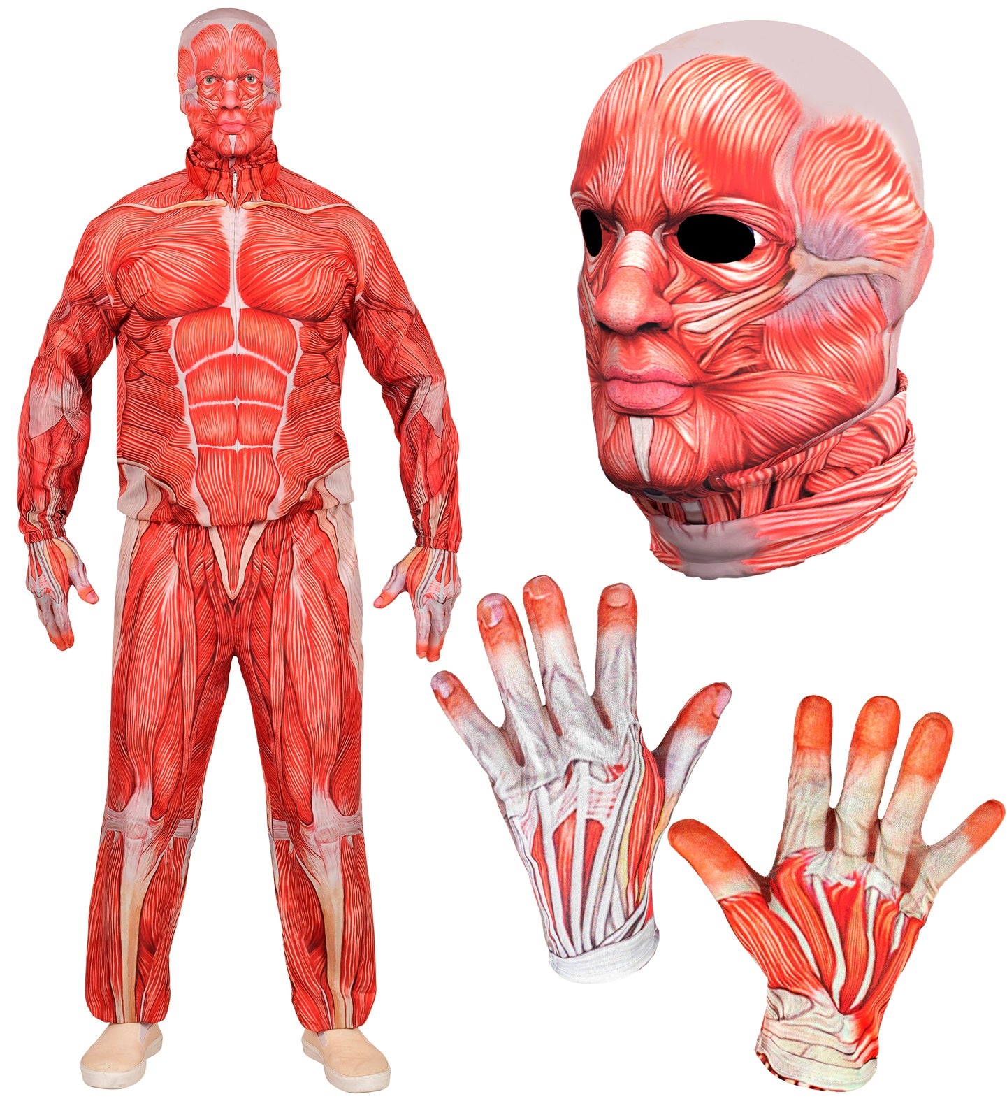 A collage of the adult Anatomy Man costume, with close-ups of the detailed fabric muscle mask and matching gloves.