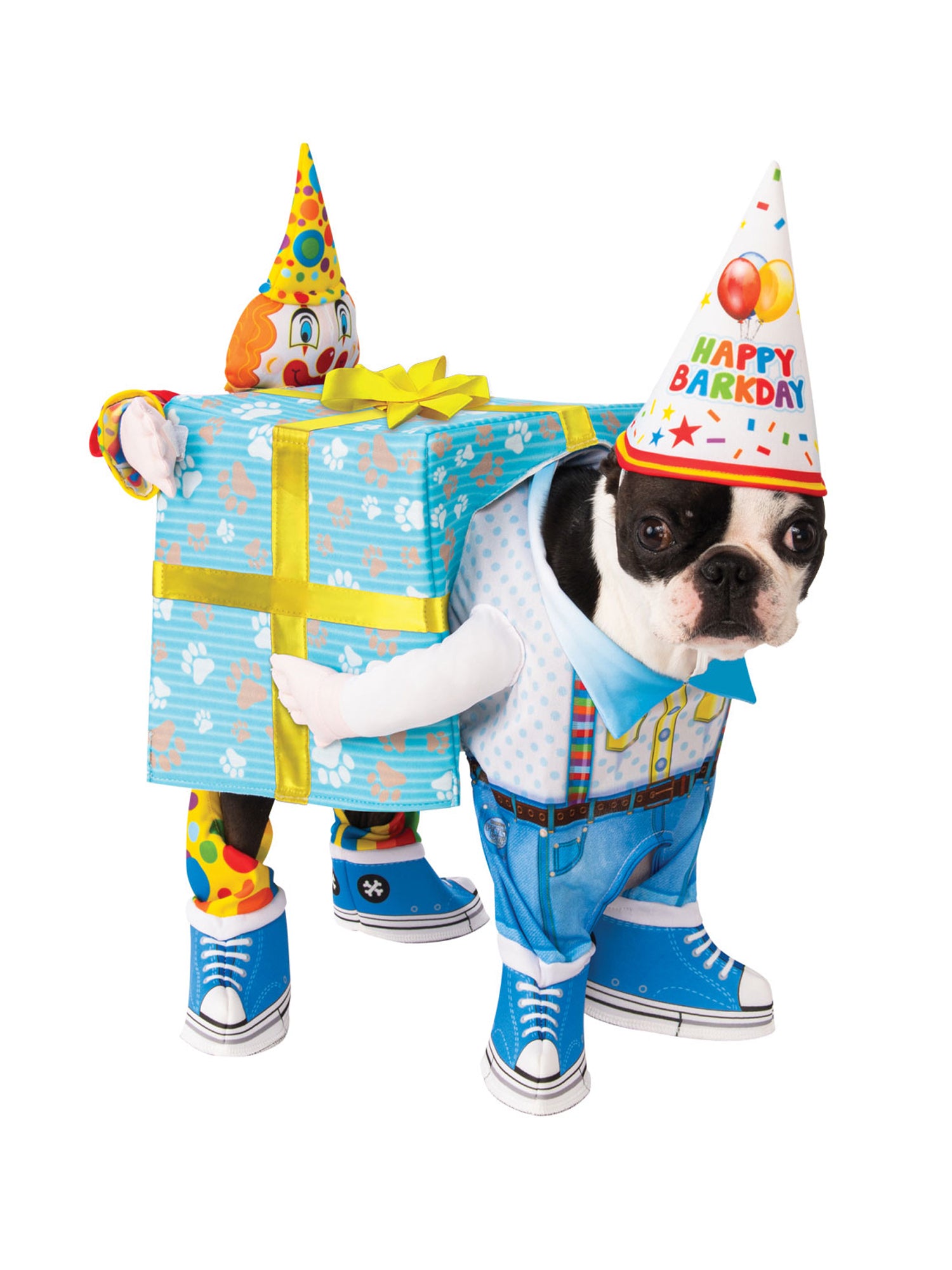 Dog in a birthday costume with clown and gift box props on a white background
