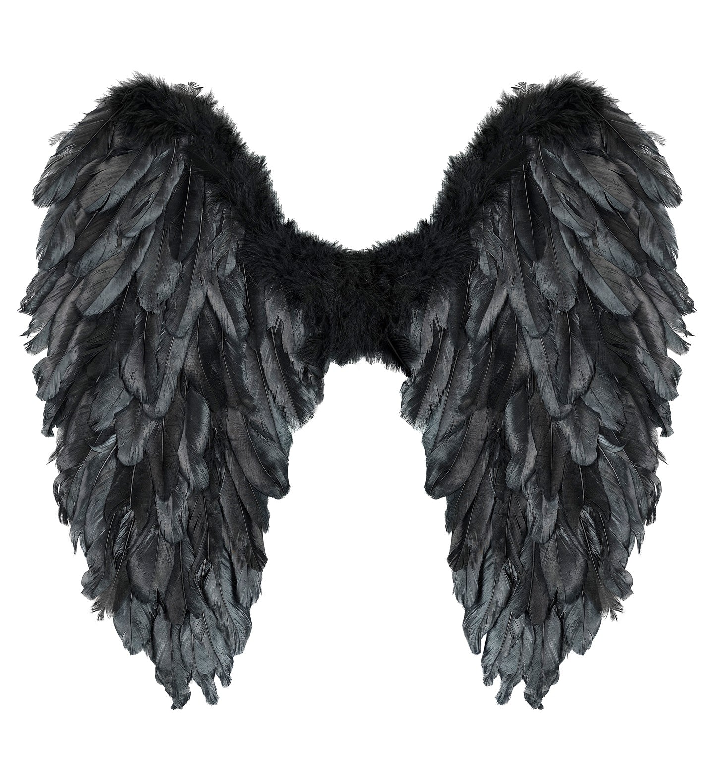 Black Foldable Feather Wings on white background