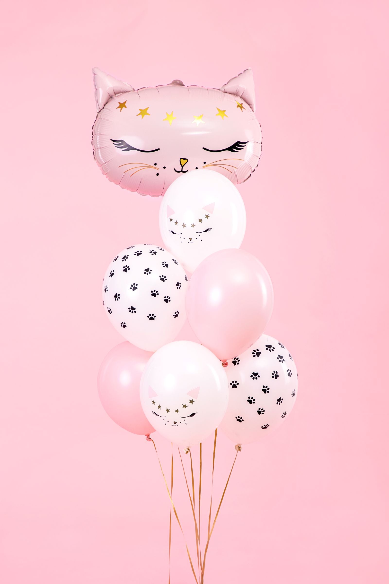 Cute Cat themed party Balloon decorations