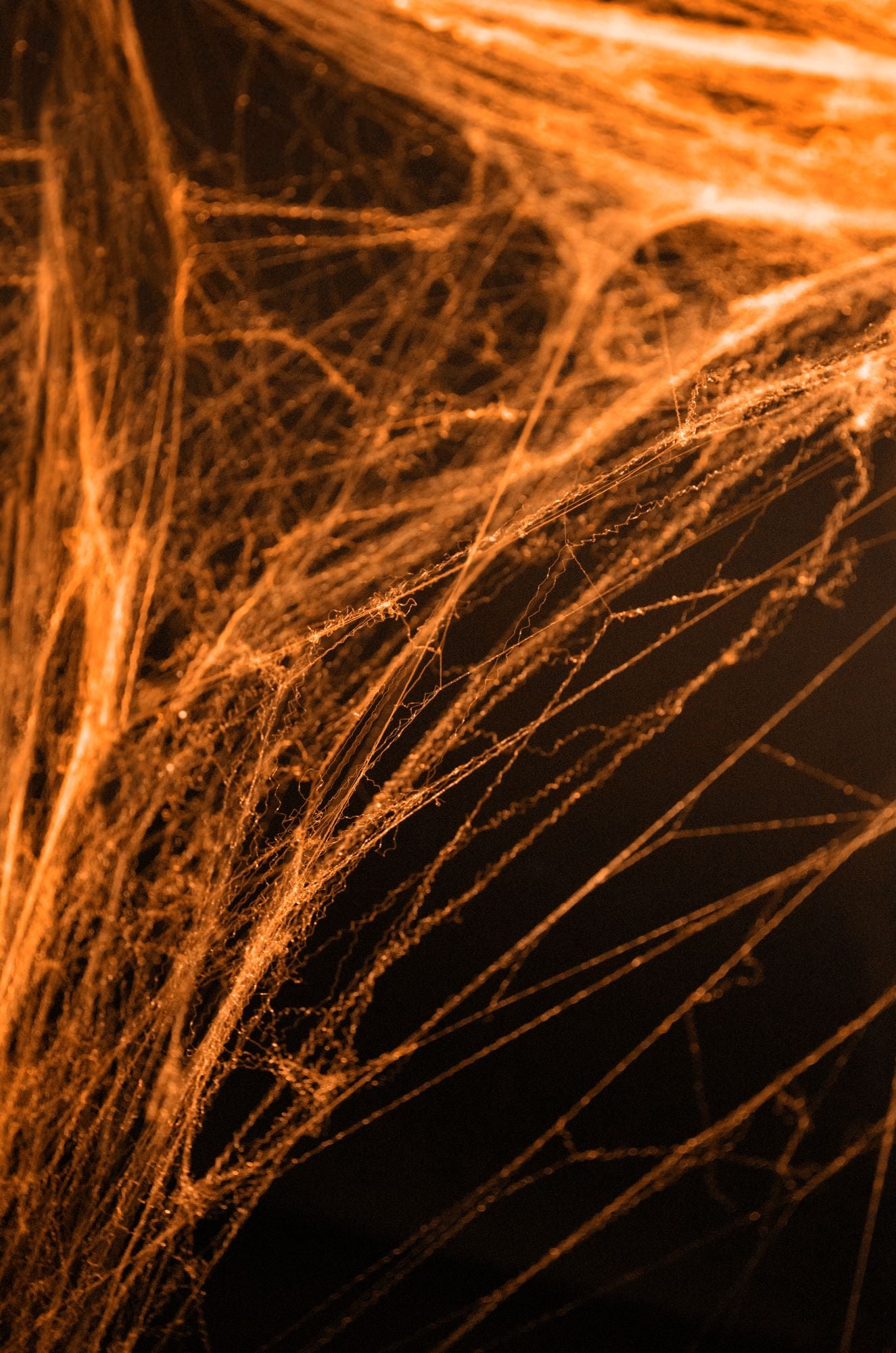 Orange Halloween Spiderweb