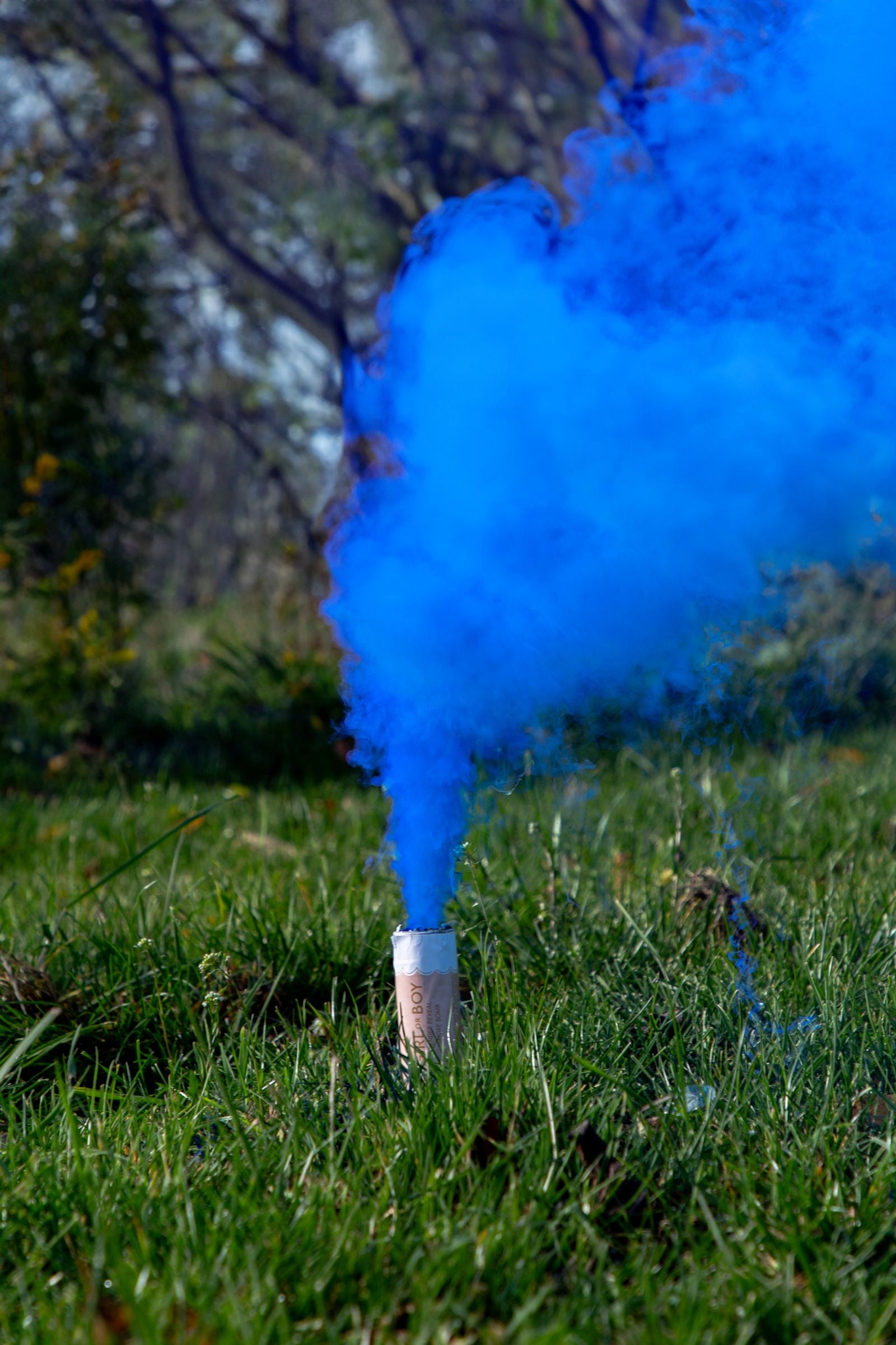 A smoke bomb standing upright in green grass, emitting a massive, vibrant cloud of thick blue smoke into the air.