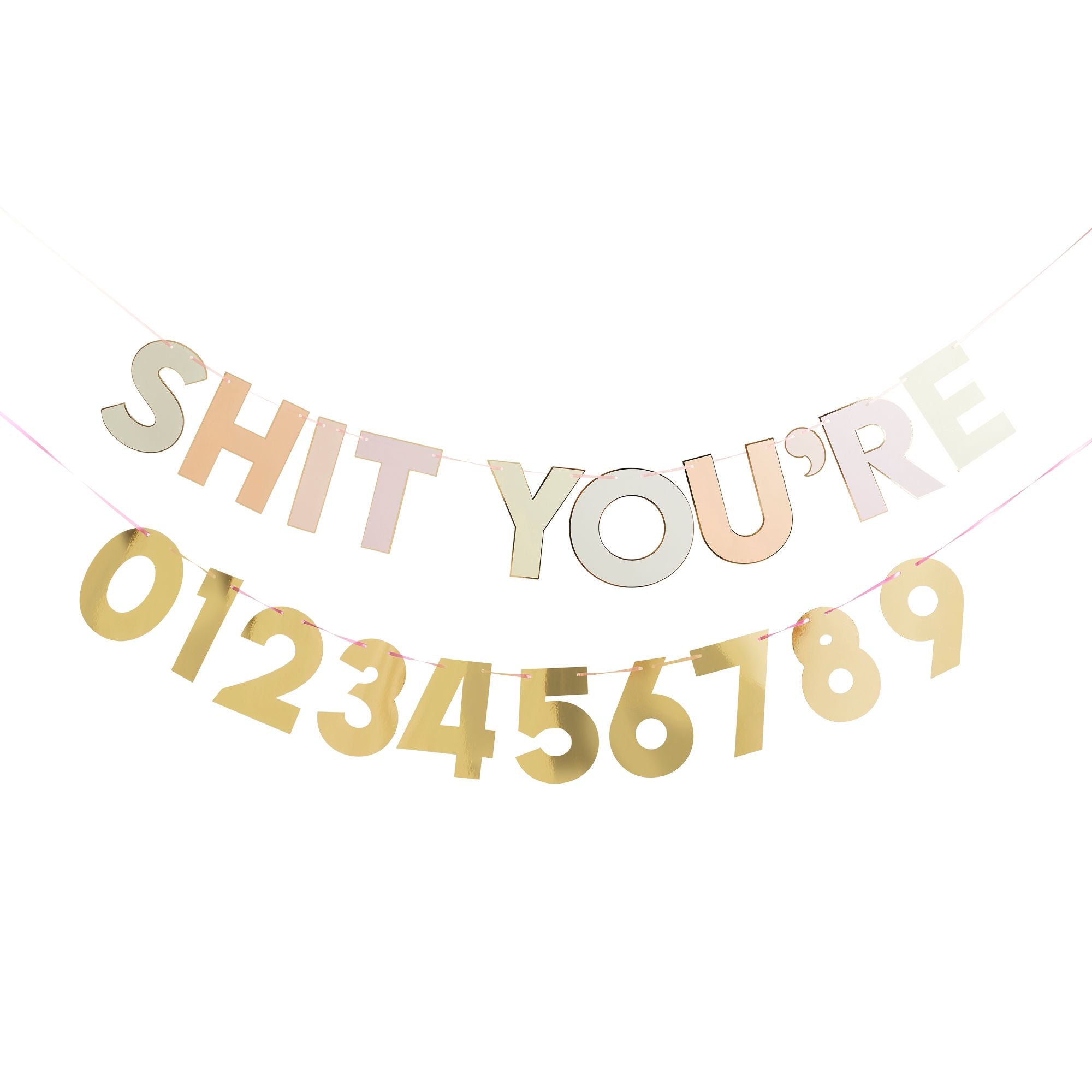 Milestone Customisable 'Sh*t You're' Card Banner 2m