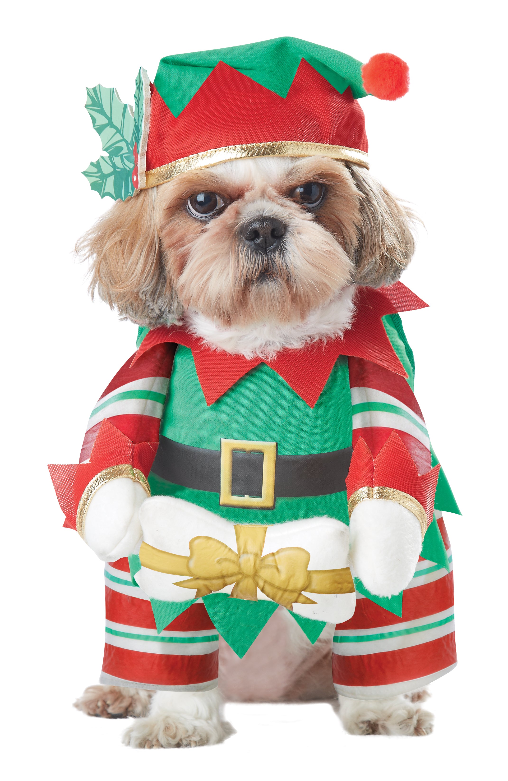 Elf Pup Dog Costume