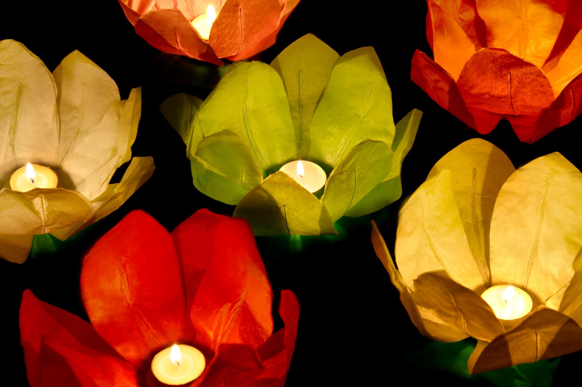Floating Lotus Flower Water Lanterns