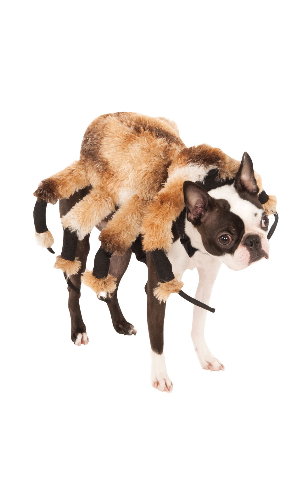 A dog wearing a deluxe plush costume designed to resemble a spider, with eight pliable legs, a brown and white color scheme, and an elastic stomach strap.