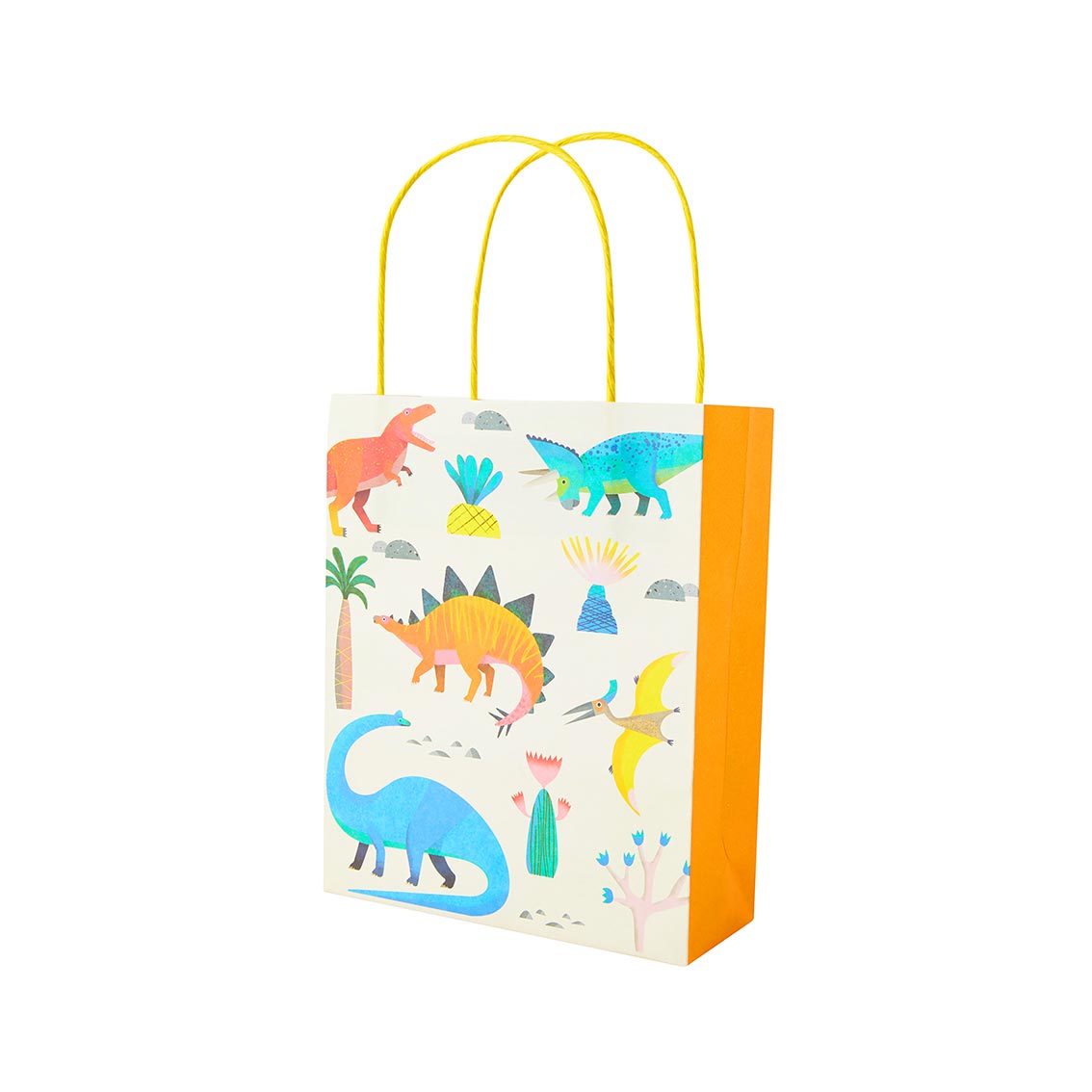 Kids Party Dinosaur Treat Bag