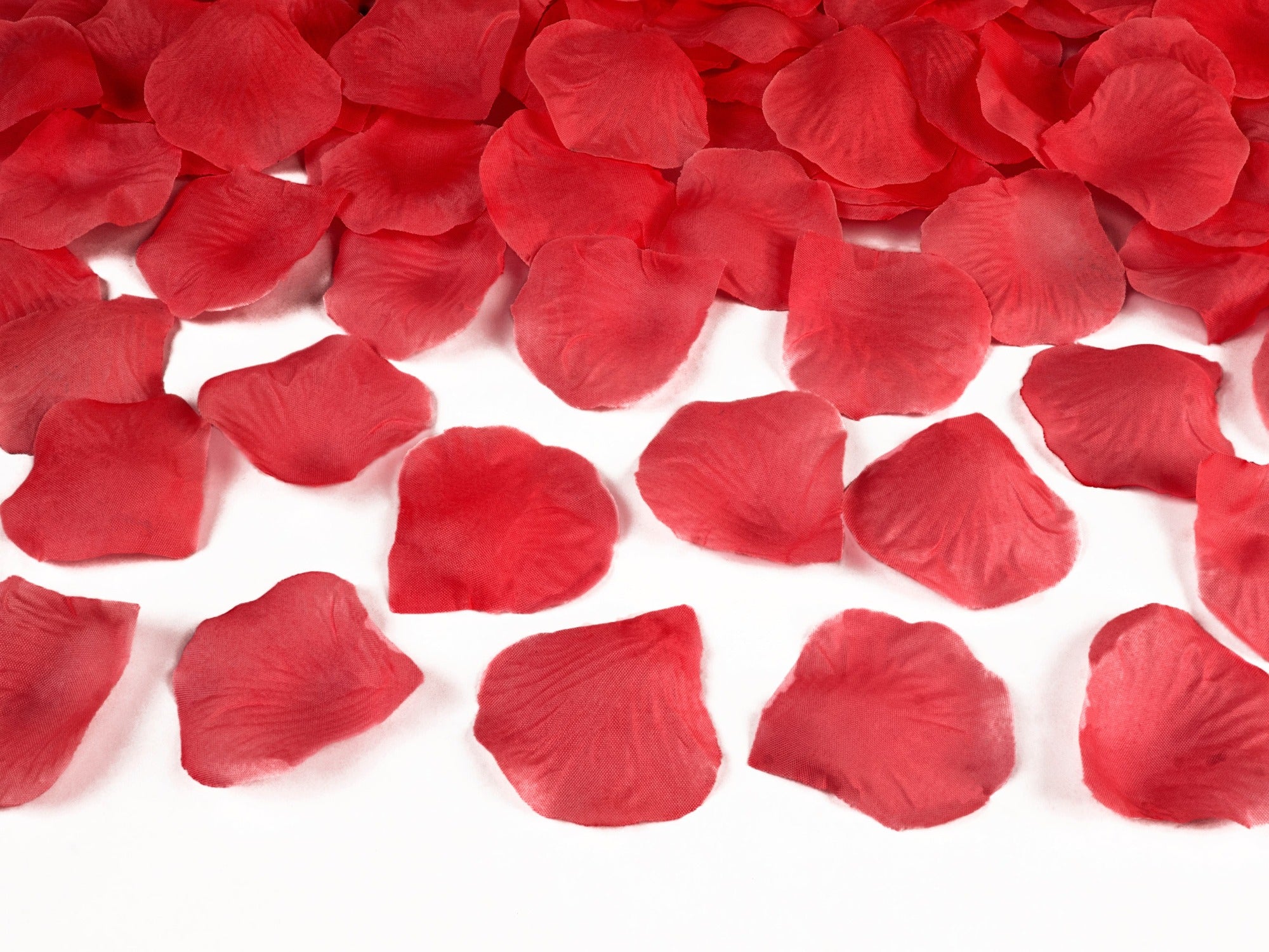 Red Rose Petals Pack of 500