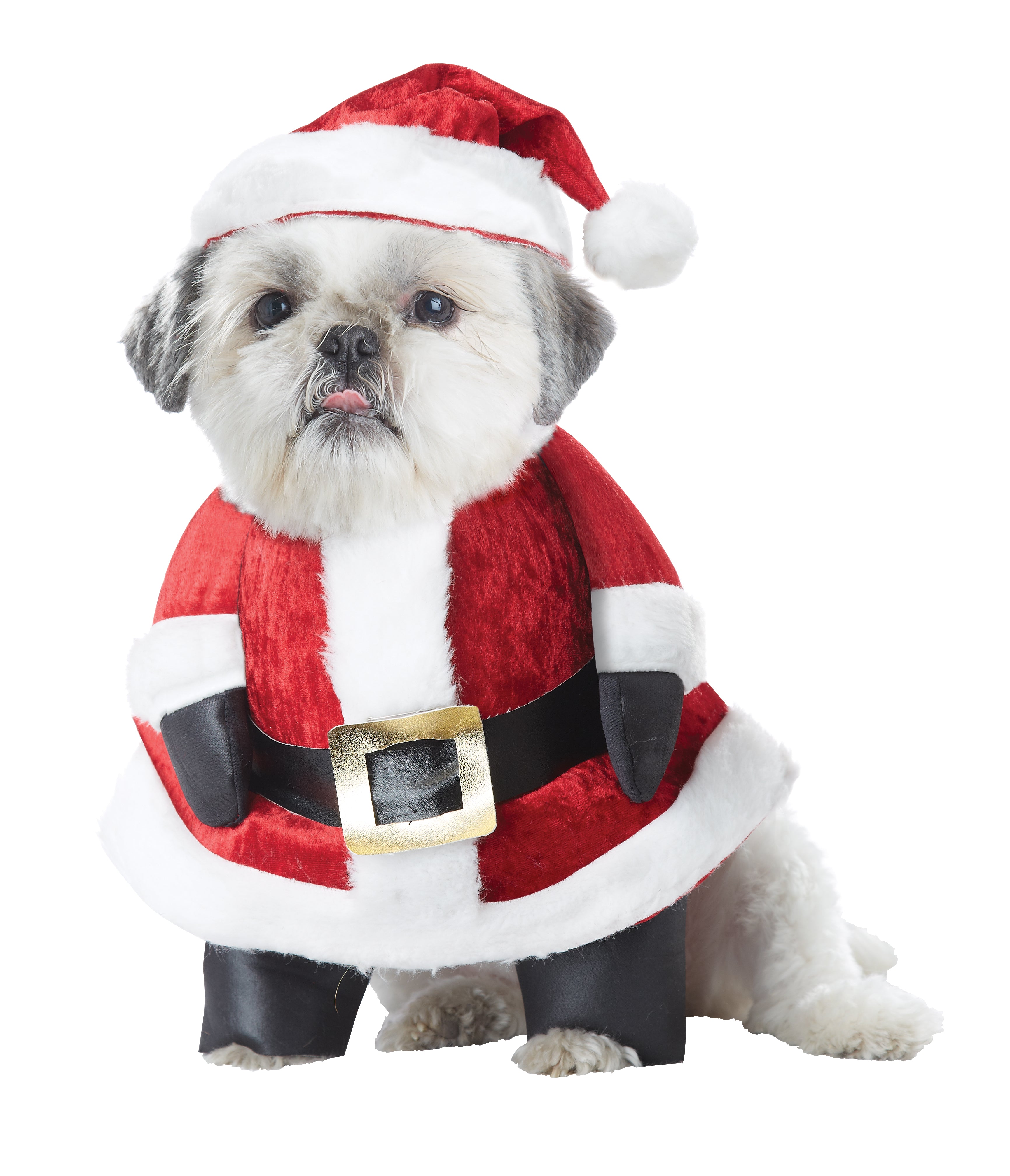 Santa Paws Dog Costume