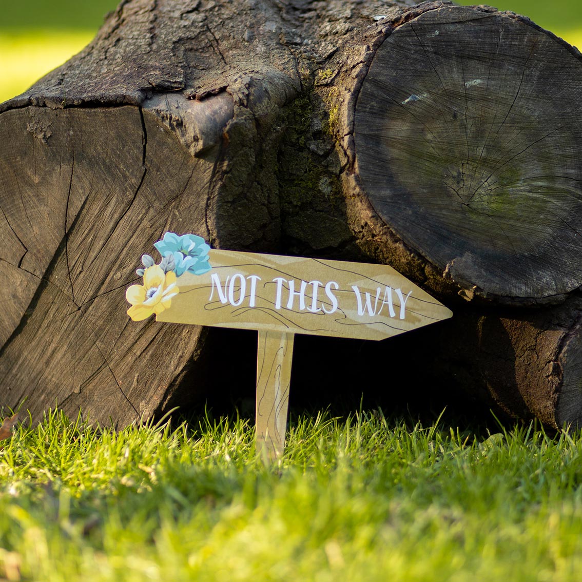 Truly Fairy Treasure Hunt Game signpost