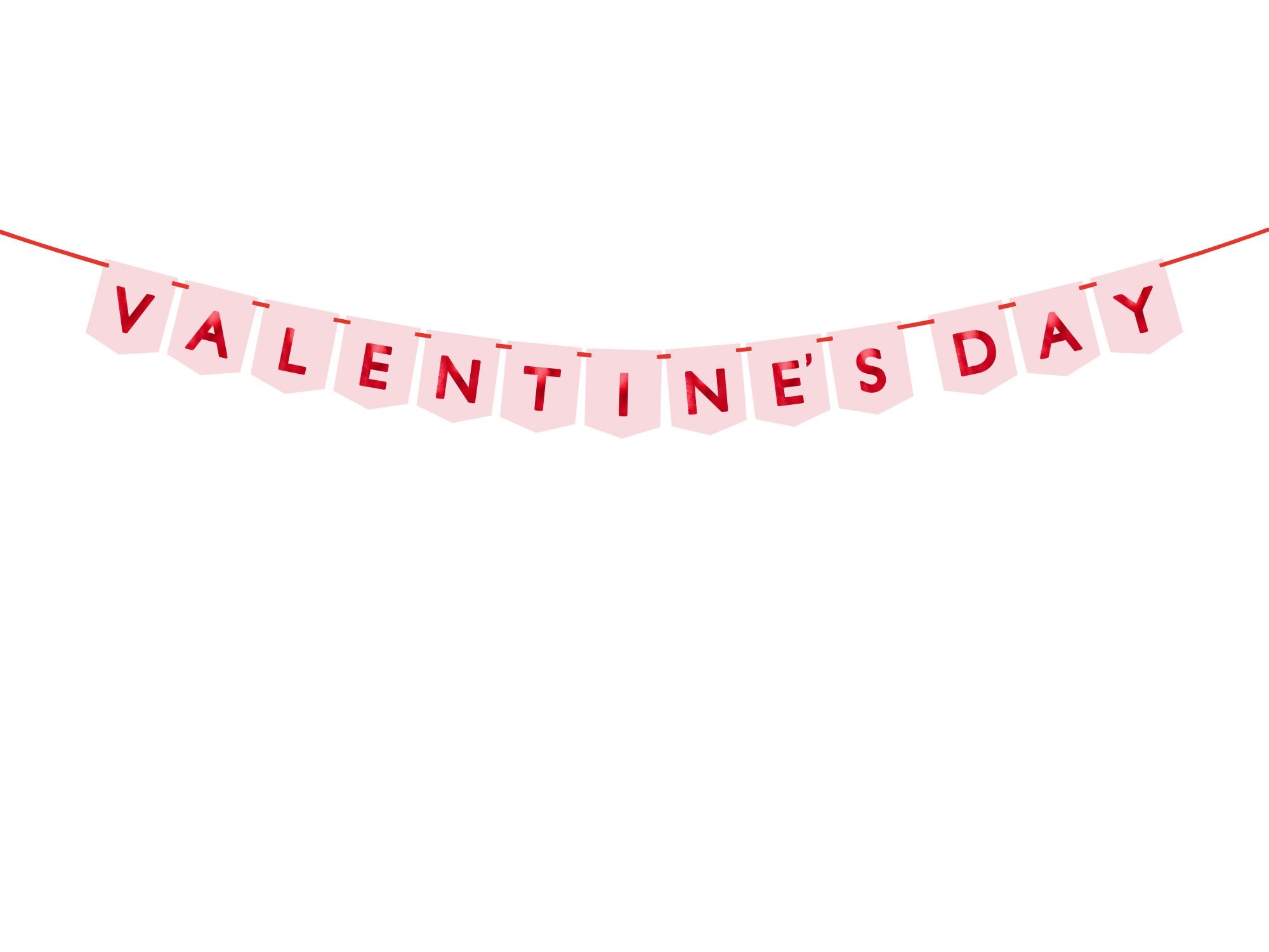 Valentines Day Bunting Party Decoration
