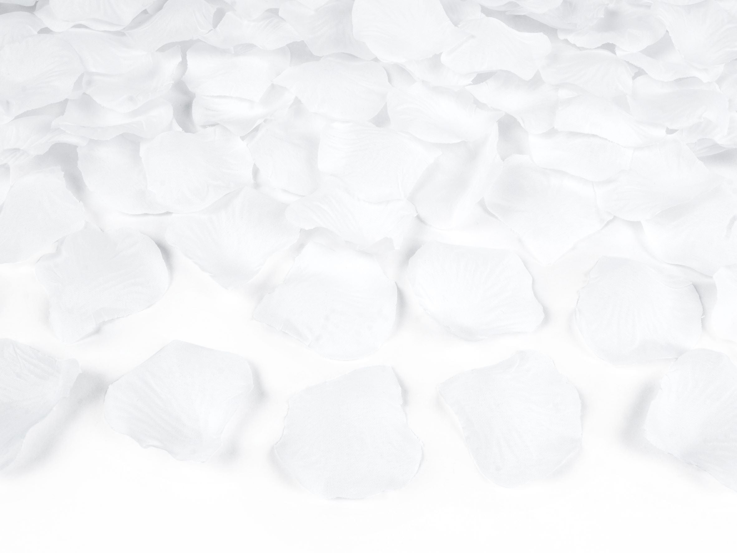 White Rose Petals Pack of 100