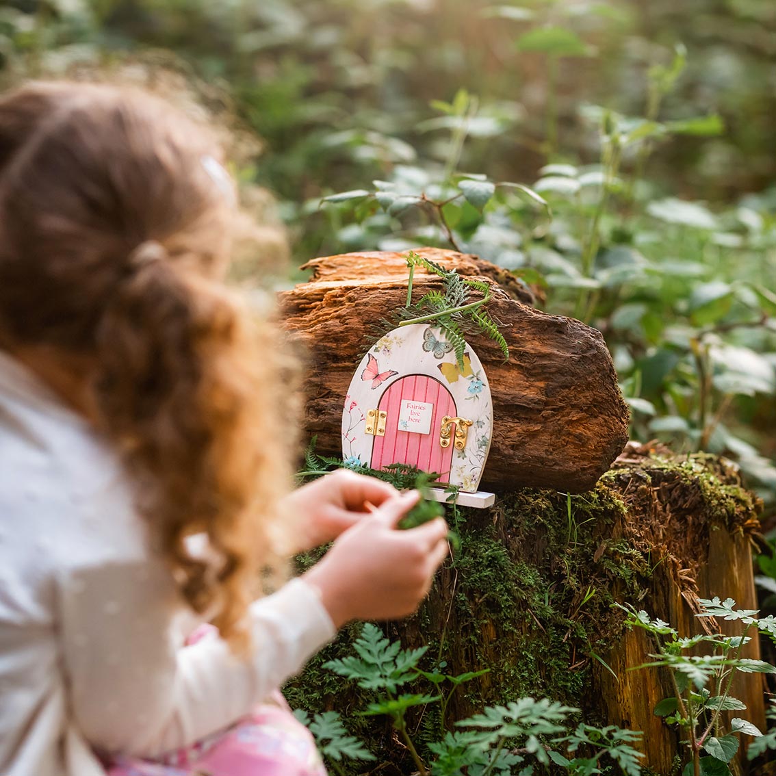 wooden fairy door