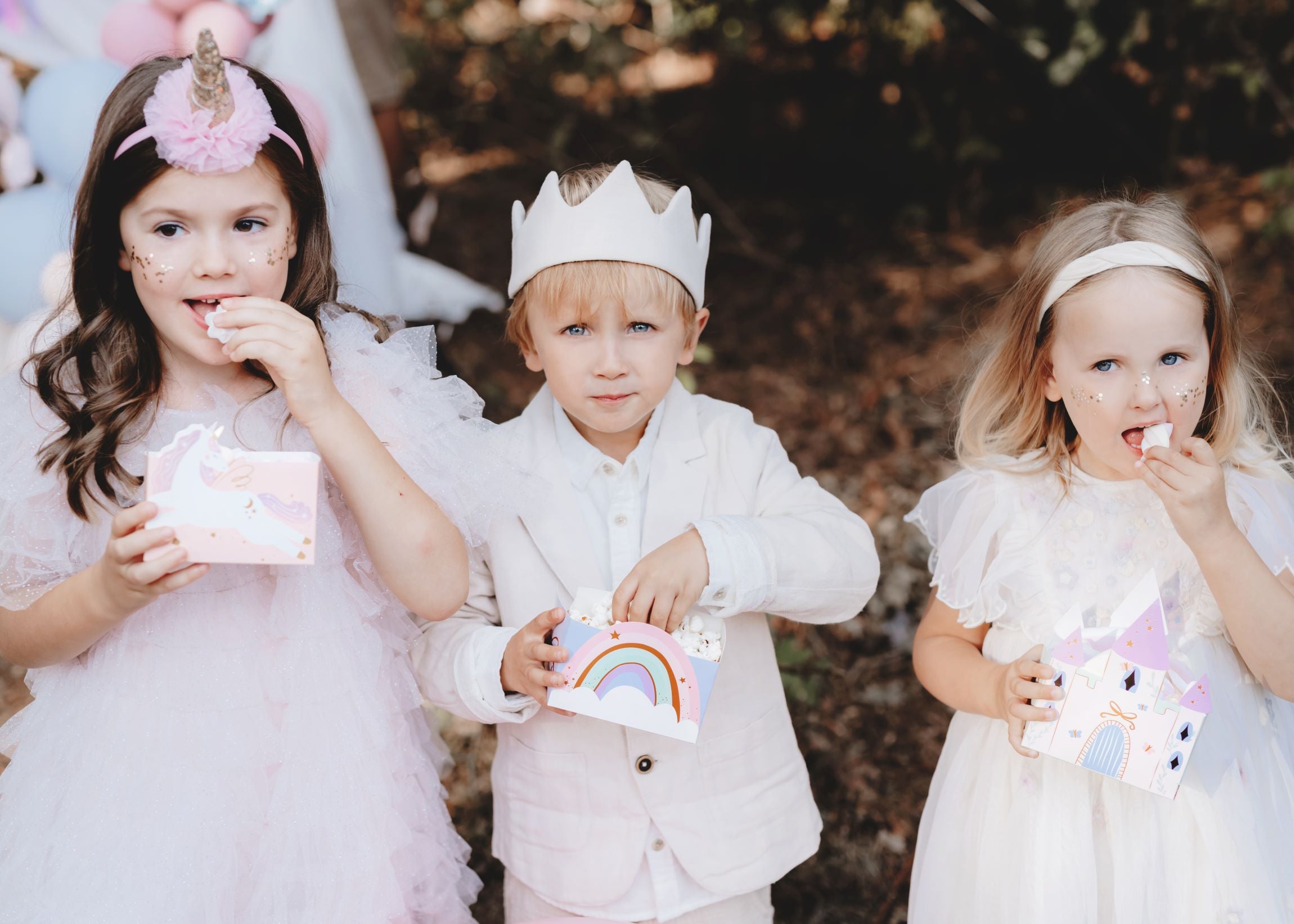 Castle and Unicorns Snack Boxes party supplies