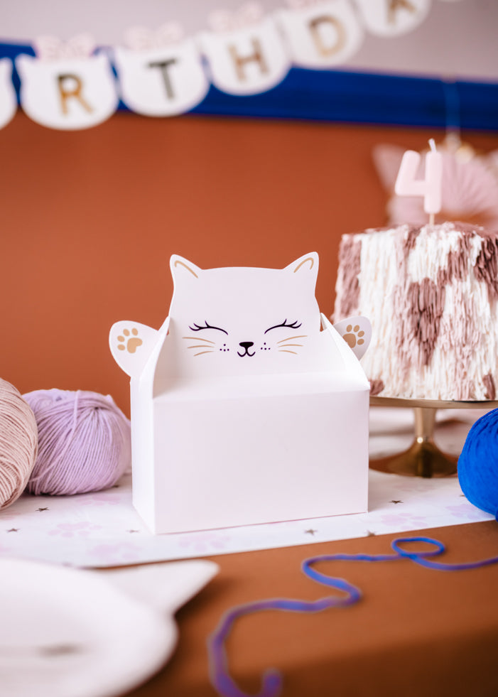 Cat-Shaped Cake Boxes for birthday party