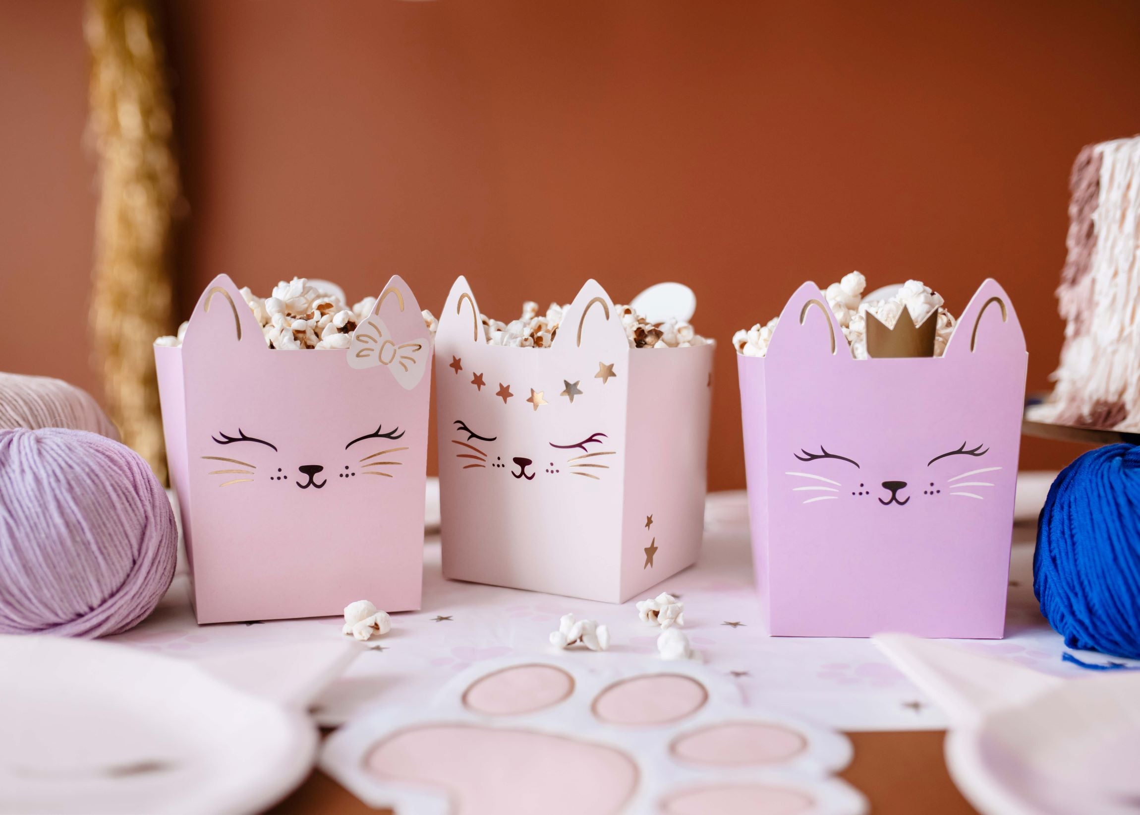 Cat Party Snack Boxes