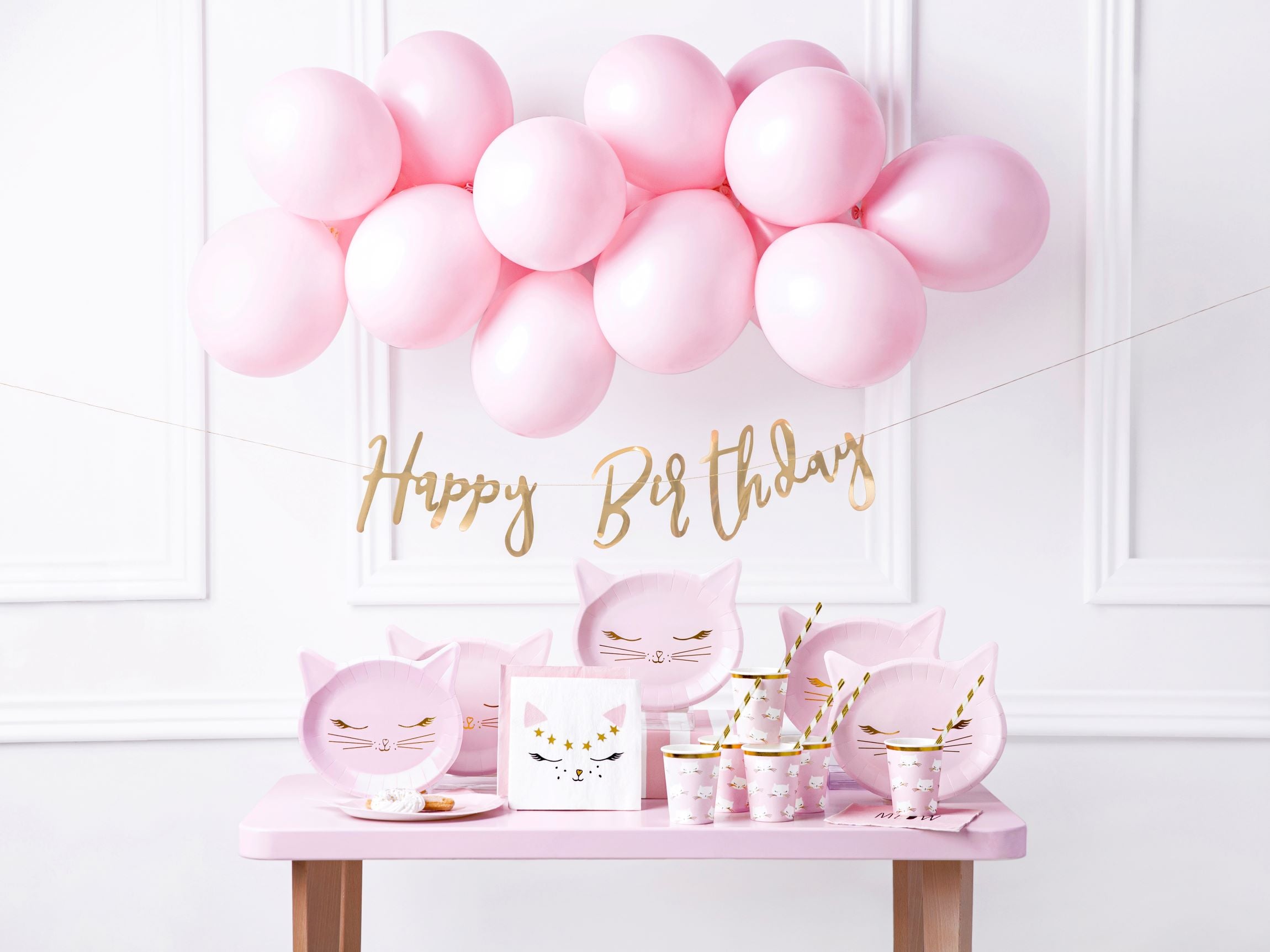 Cat Themed Birthday Party Decorations Set