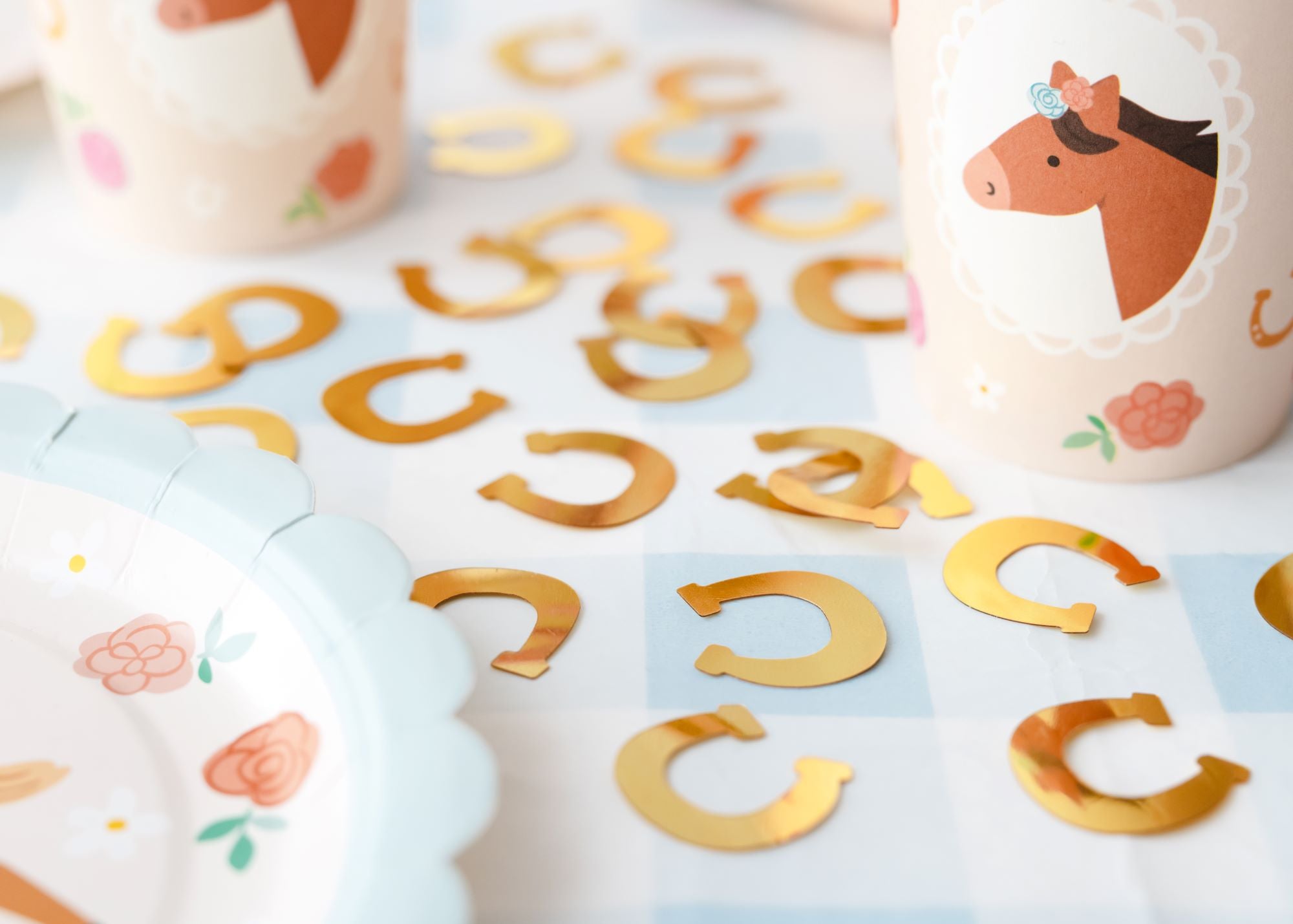 Confetti Horseshoes for horse themed birthday party