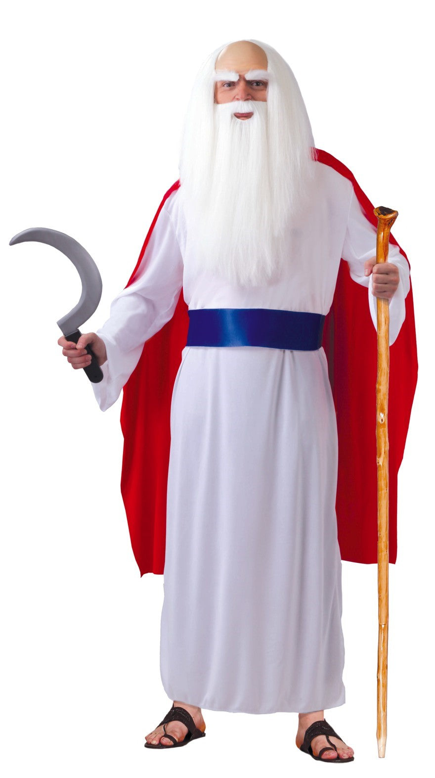 Getafix Druid Costume Adult