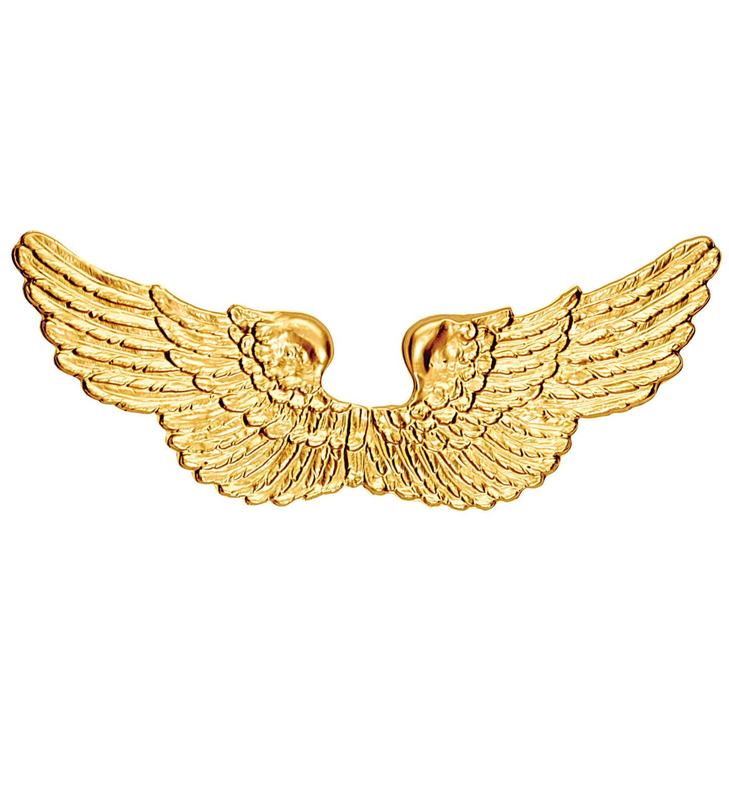 A pair of large, molded plastic angel wings in a shimmering metallic gold color.