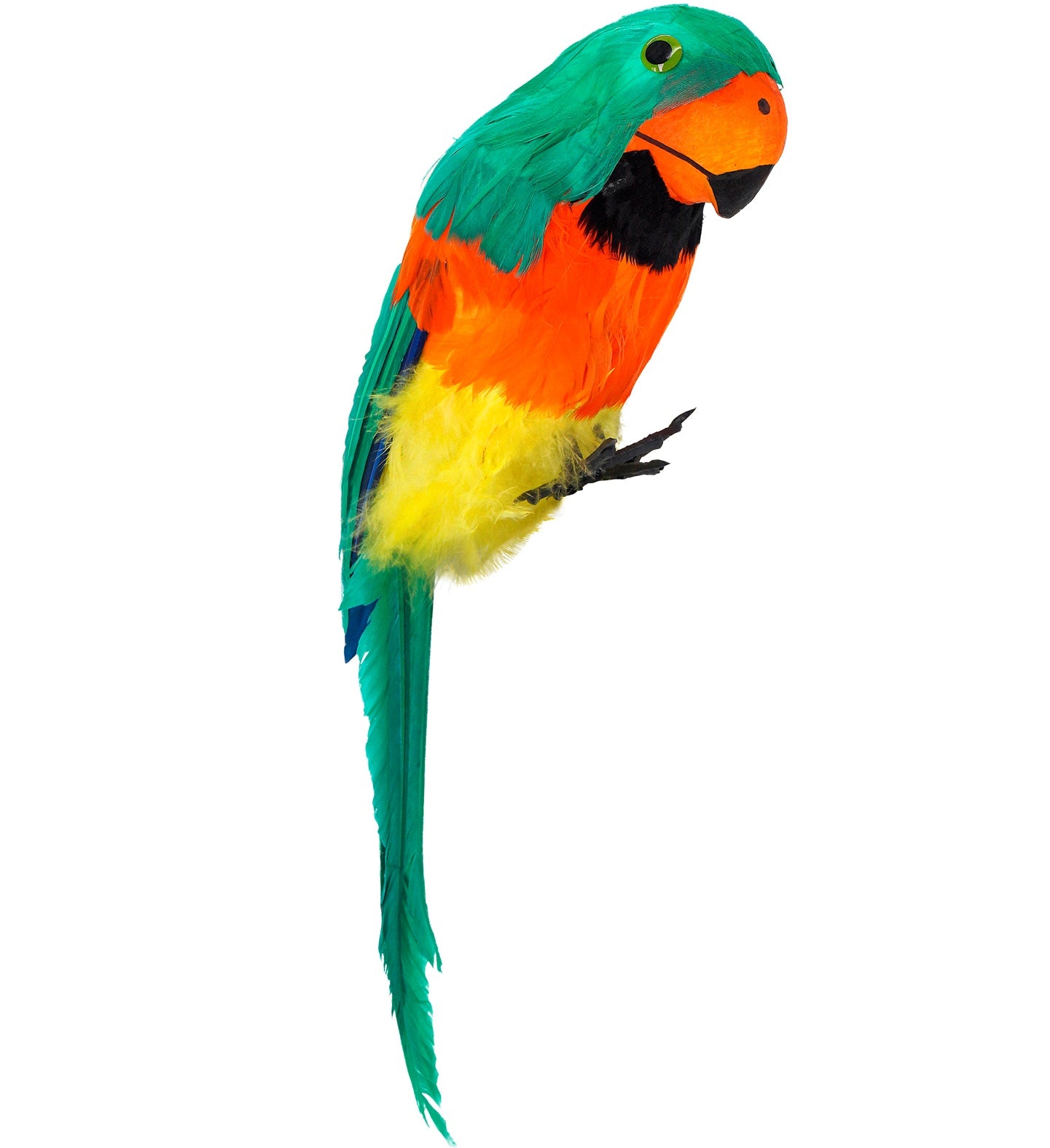 Green Pirate Shoulder Parrot costume accessory