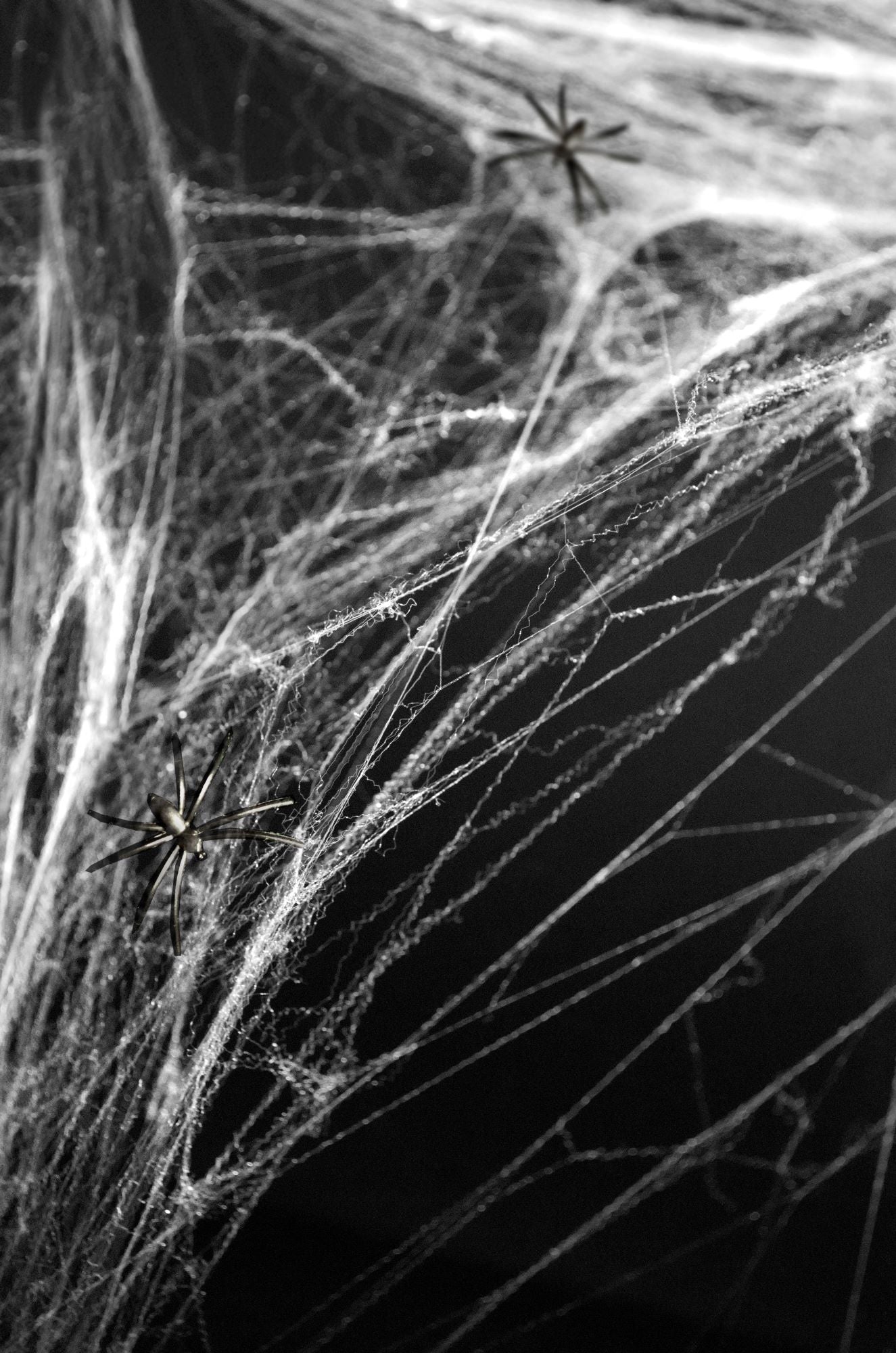 Halloween Spiderweb White