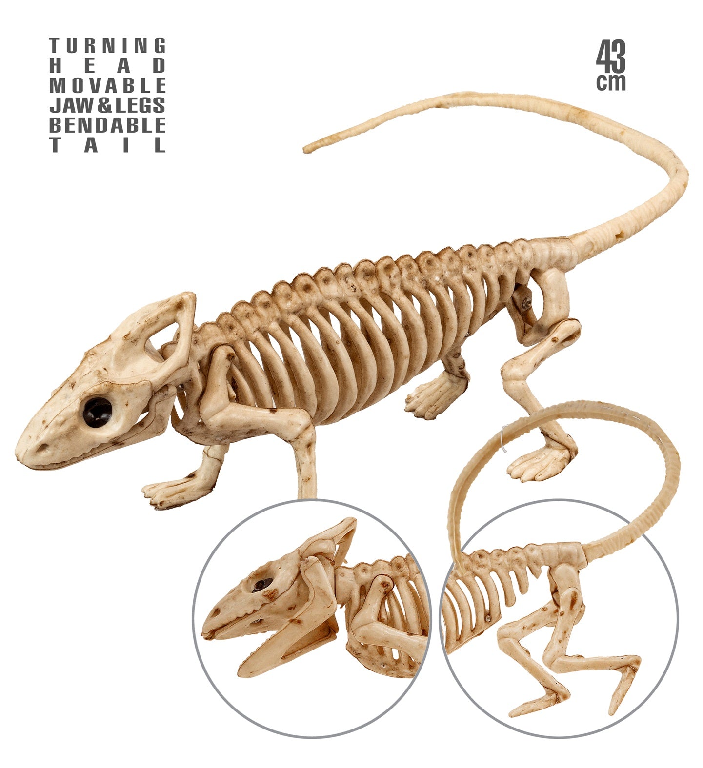 Iguana Skeleton Halloween Decoration