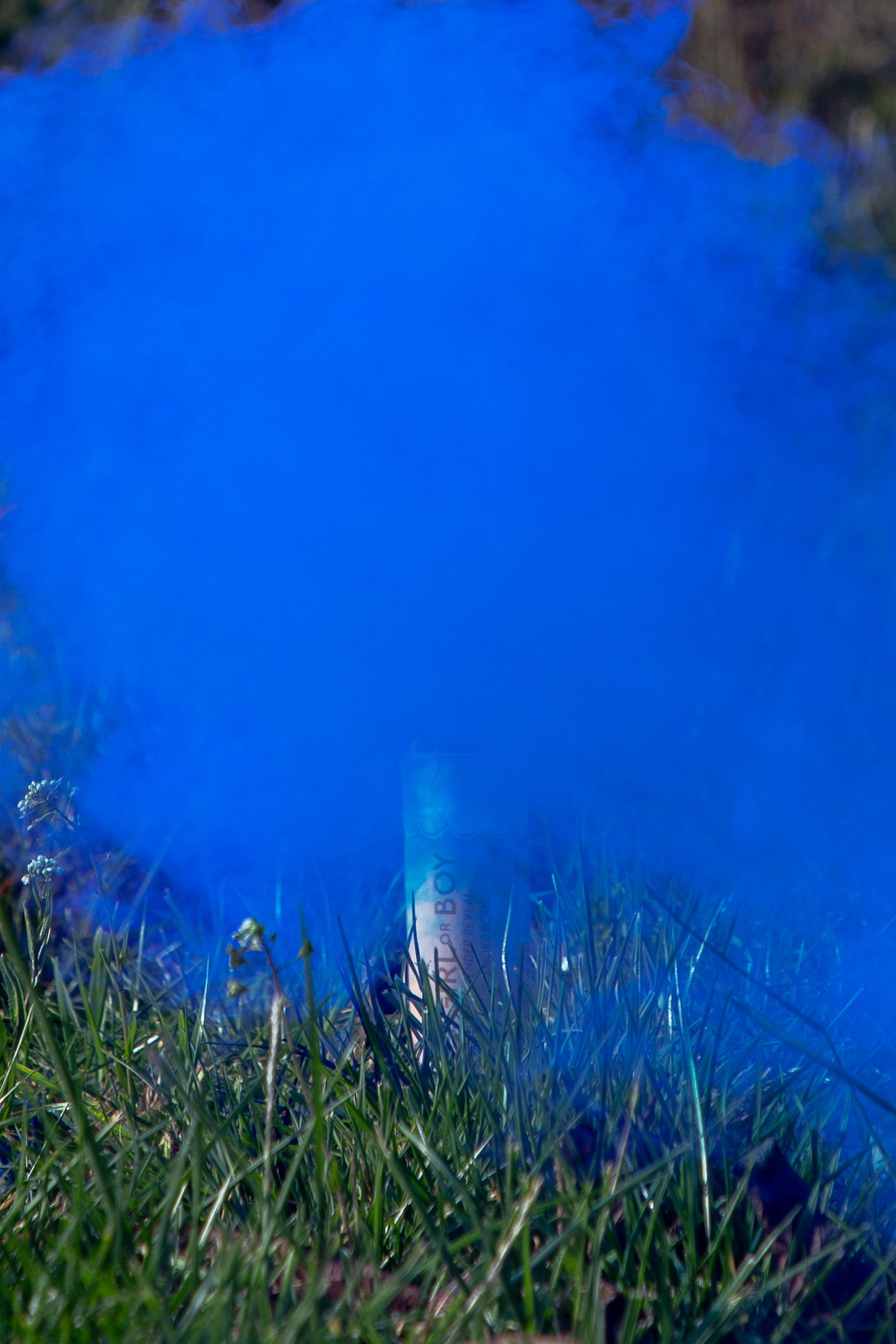 Billowing blue smoke from smoke bomb
