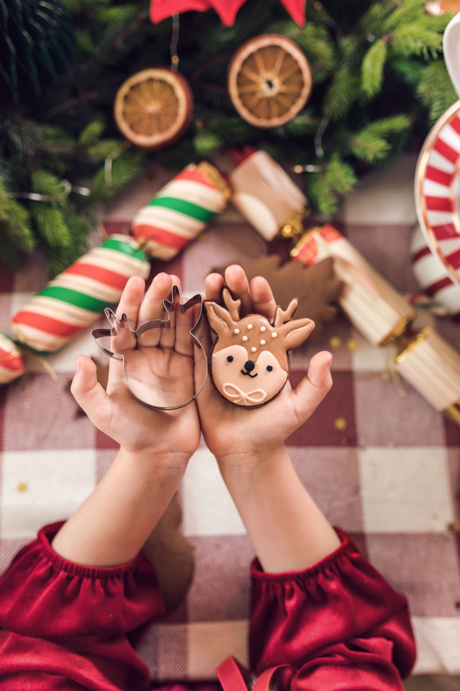 Merry Christmas Reindeer Cookie Cutters