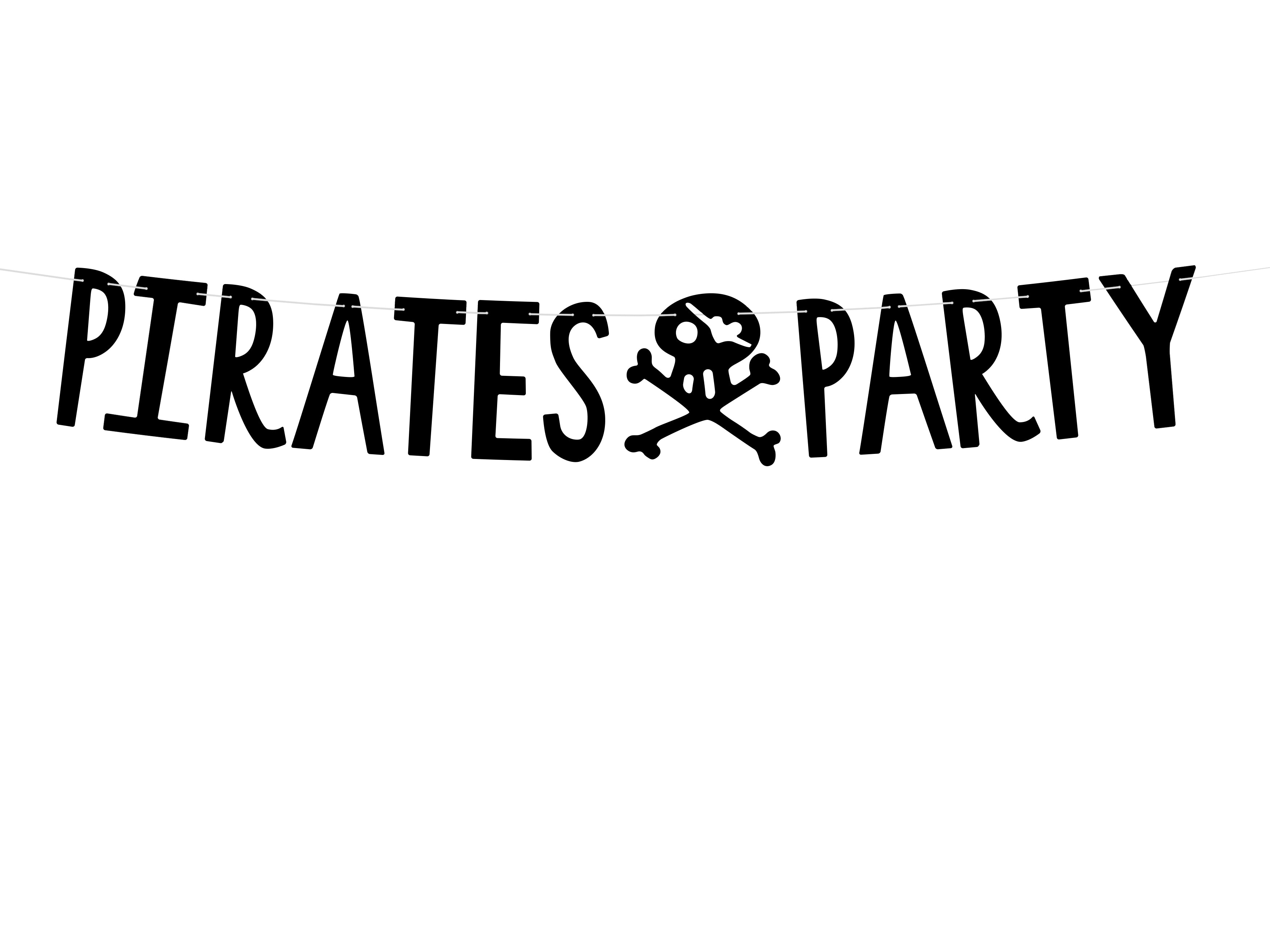 Pirate Party Banner