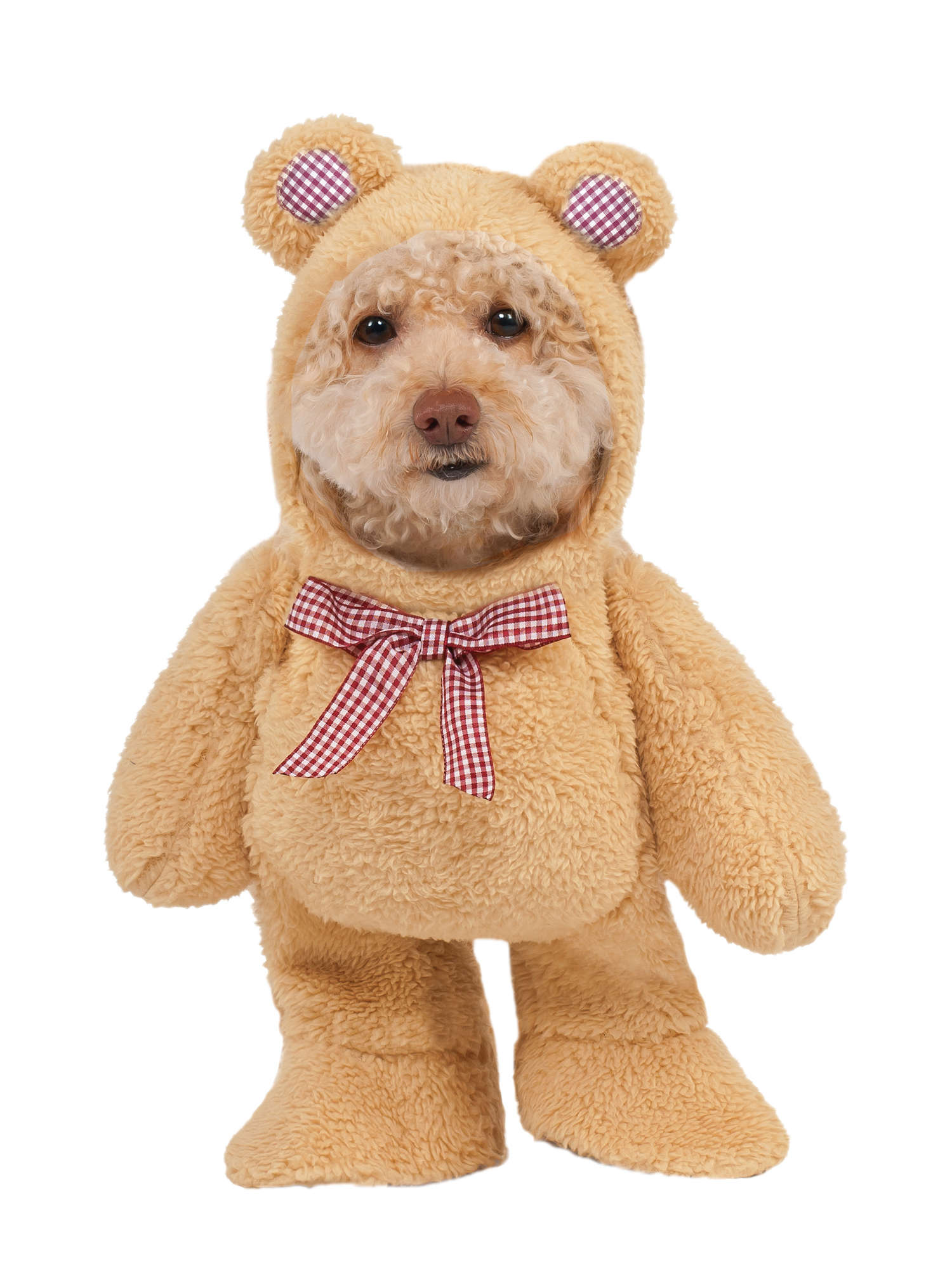 Walking Teddy Bear Dog Costume