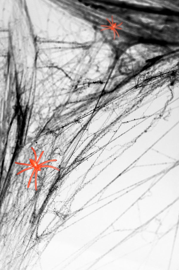black Halloween Spiderweb