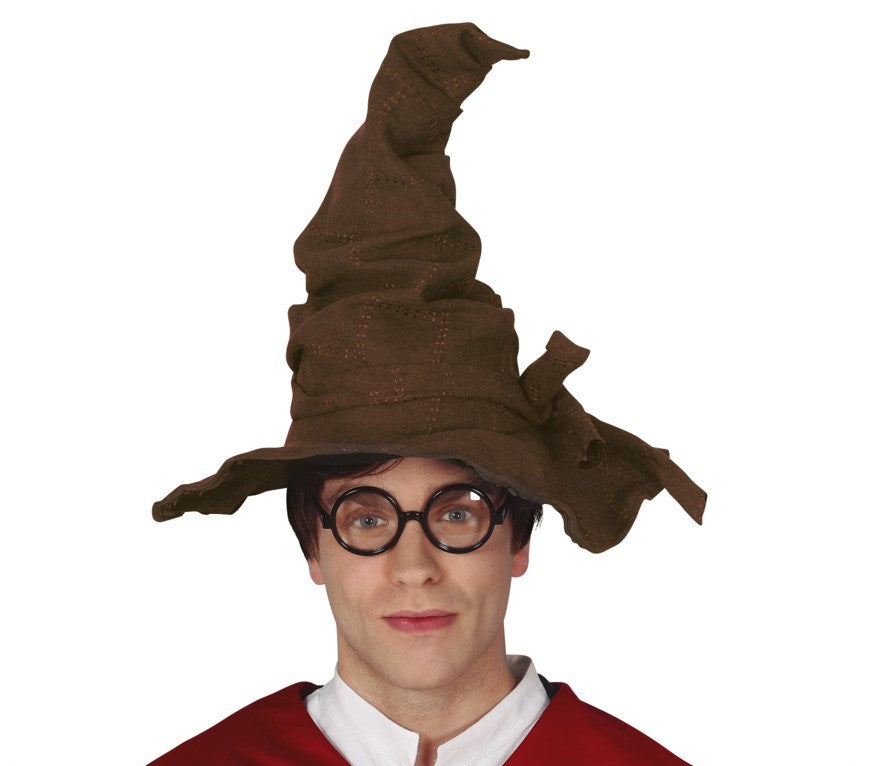 Brown Wizard or Harry Potter sorting hat