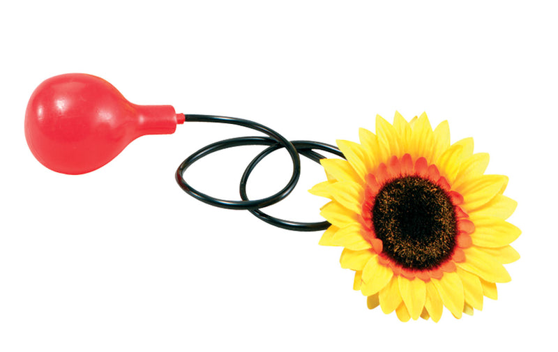 Clown Squirt Flower