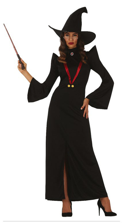 Deluxe Chief Witch fancy dress Costume for Ladies