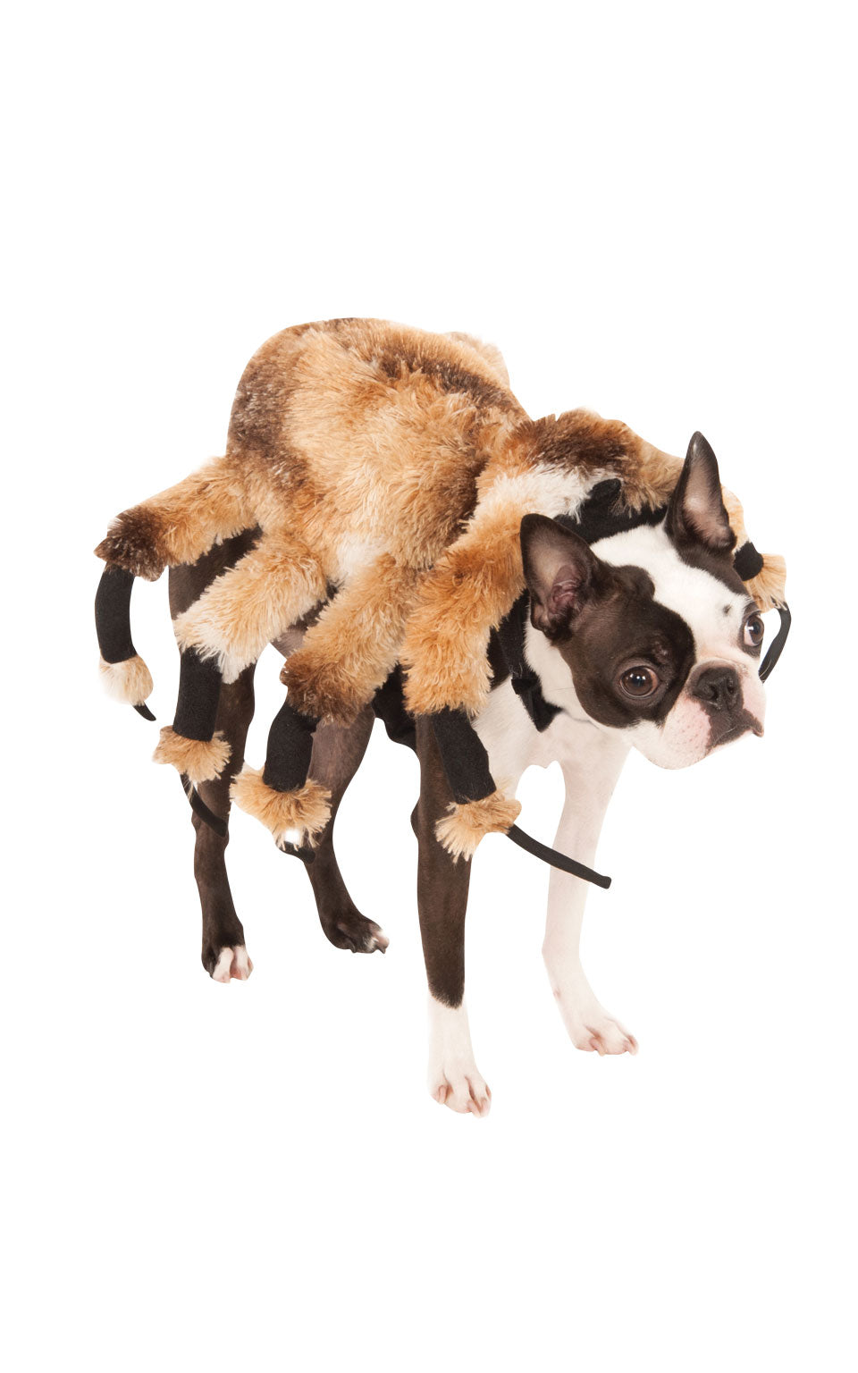 Giant Spider Dog Halloween Costume