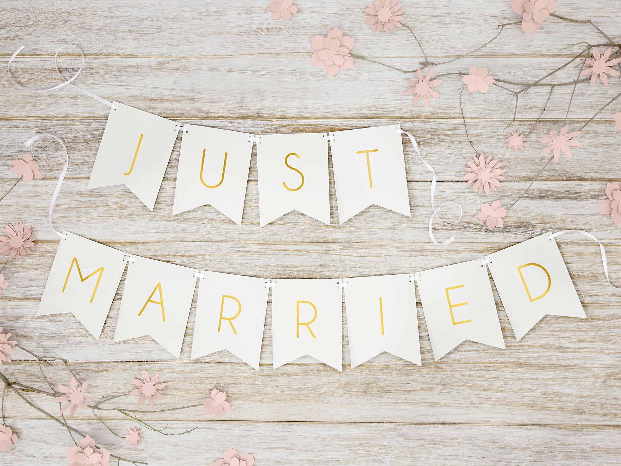 Just Married Banner White