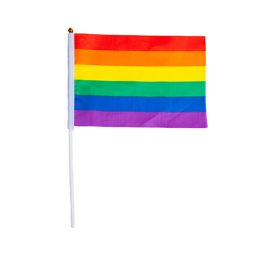 Large Handheld Rainbow Pride Flag 45x30cm