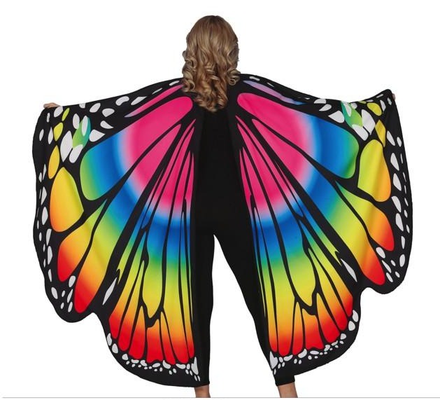 Large Multicolored Butterfly Wings