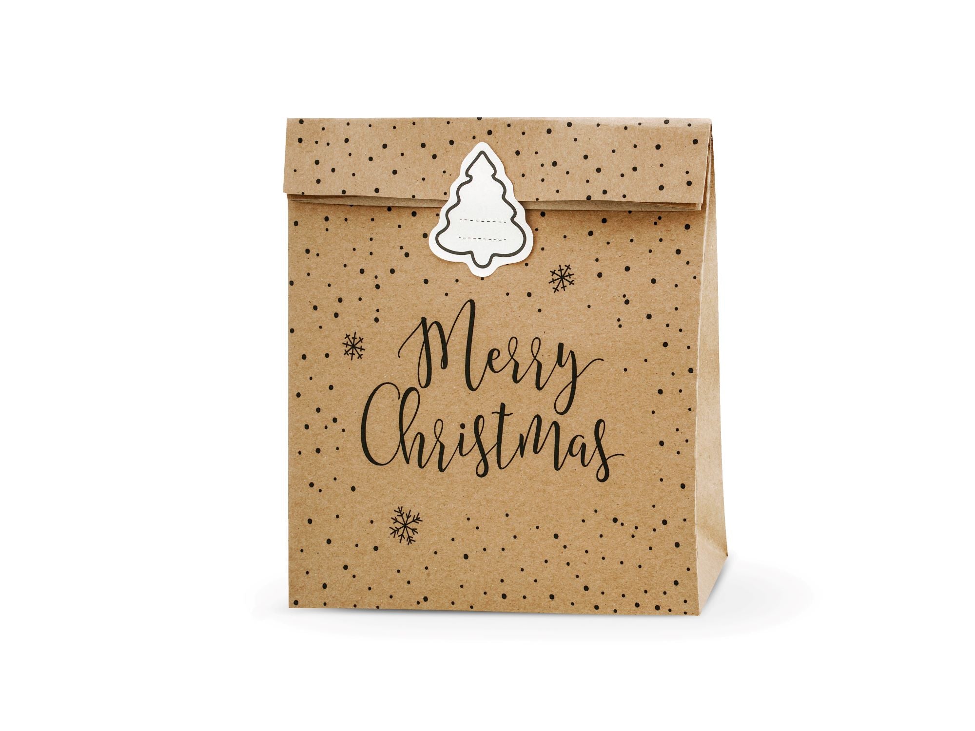 Merry Christmas Kraft Gift Bag