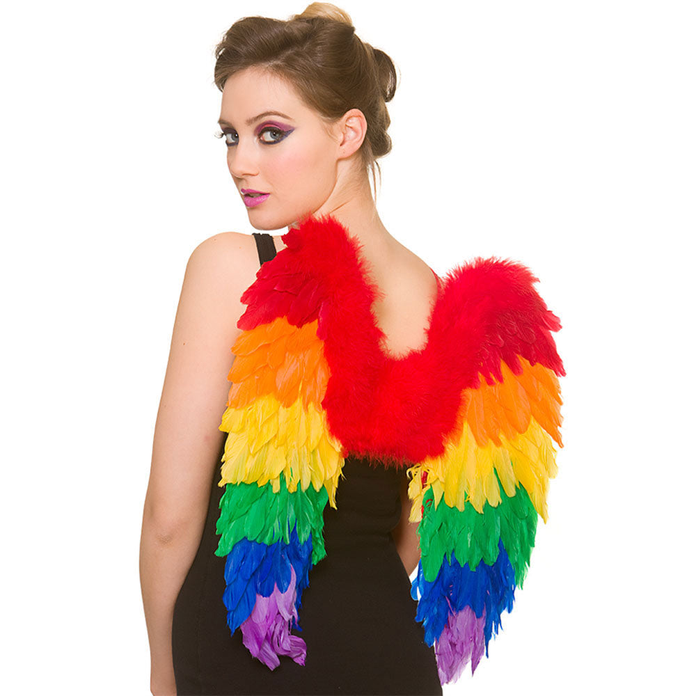 Rainbow Feather Wings