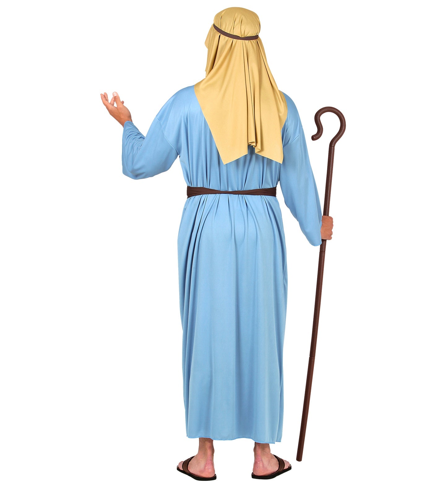 Shepherd Costume Adult Blue back view