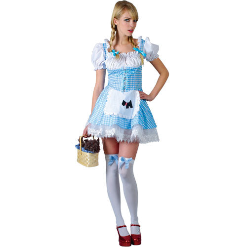 Ladies Storybook Dorothy Fancy Dress Costume 