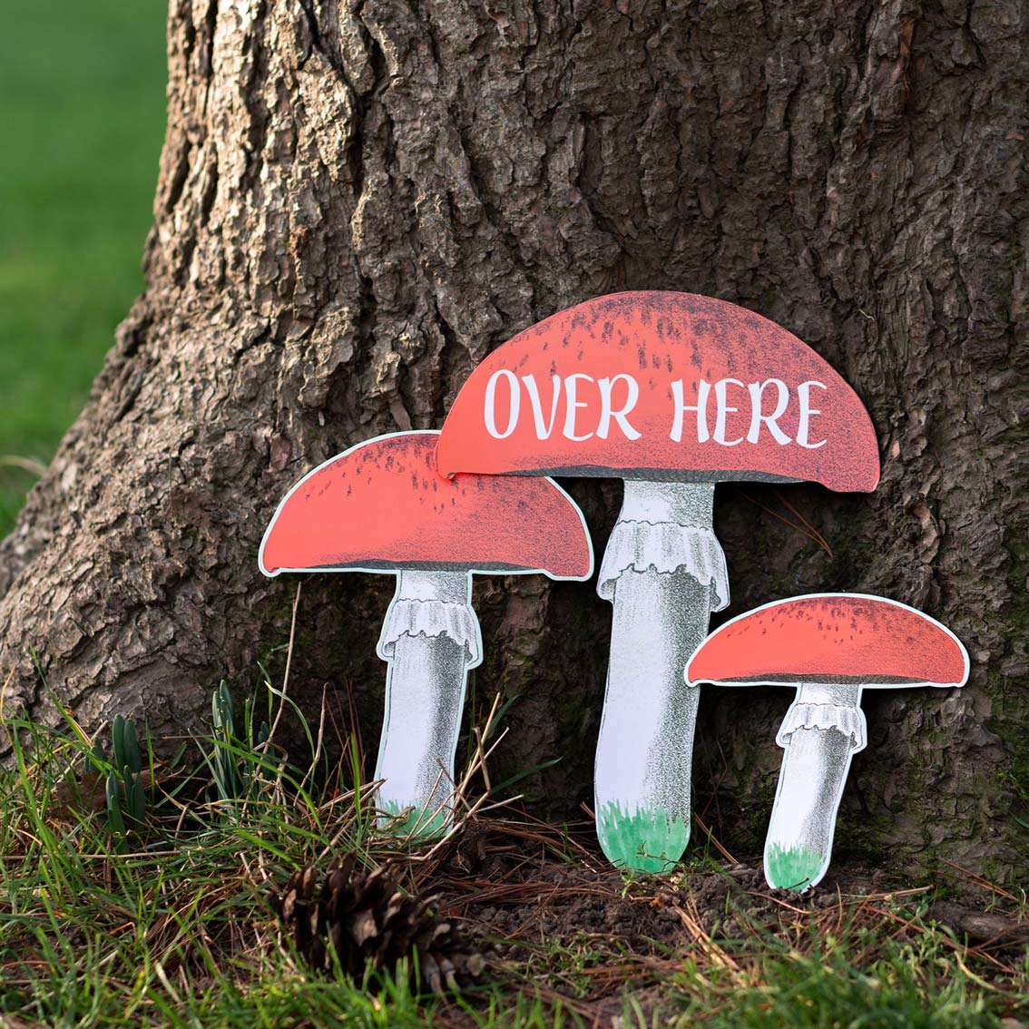 Truly Fairy Treasure Hunt Game mushroom signs