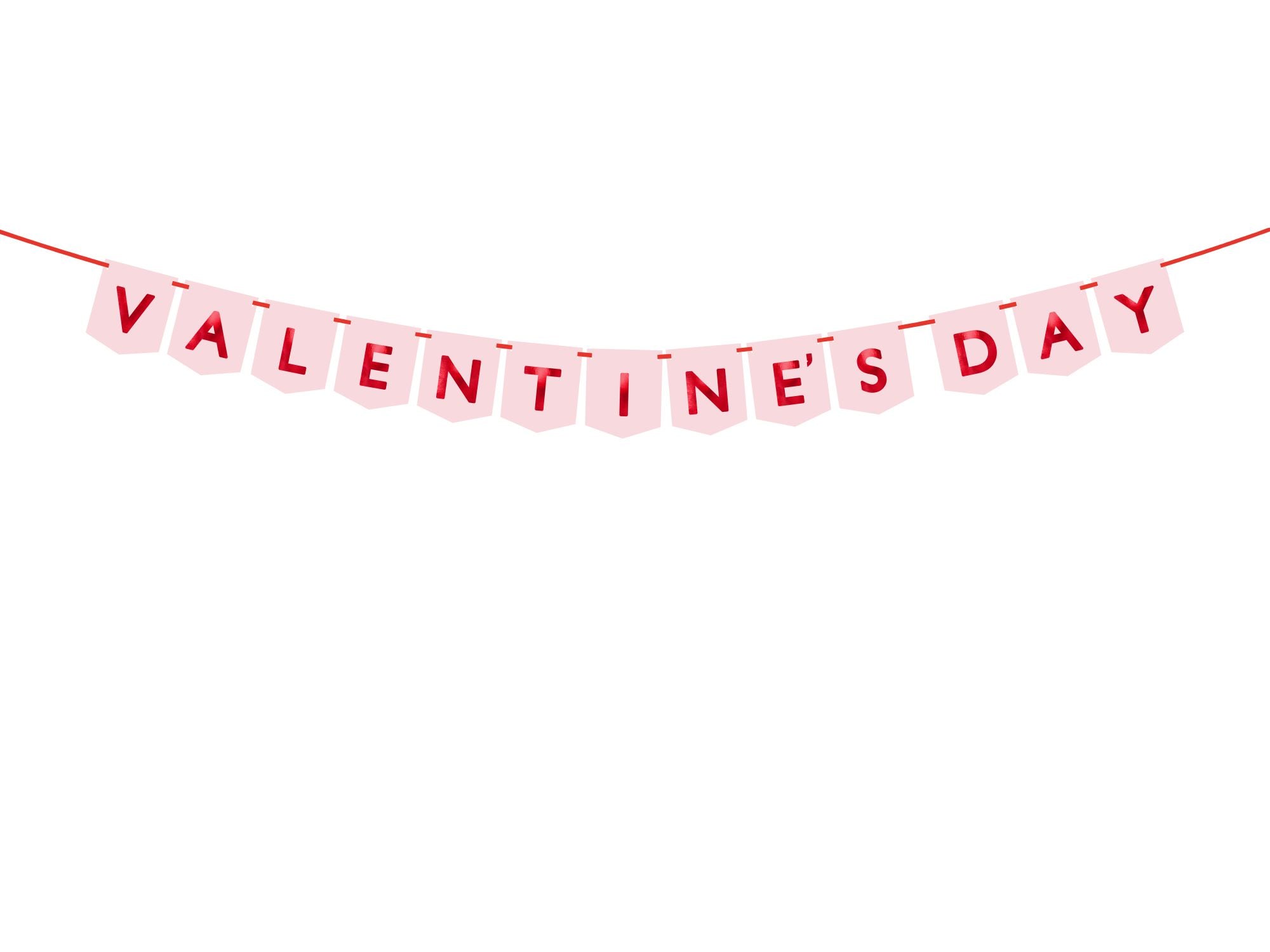 Valentines Day Banner Party Decoration