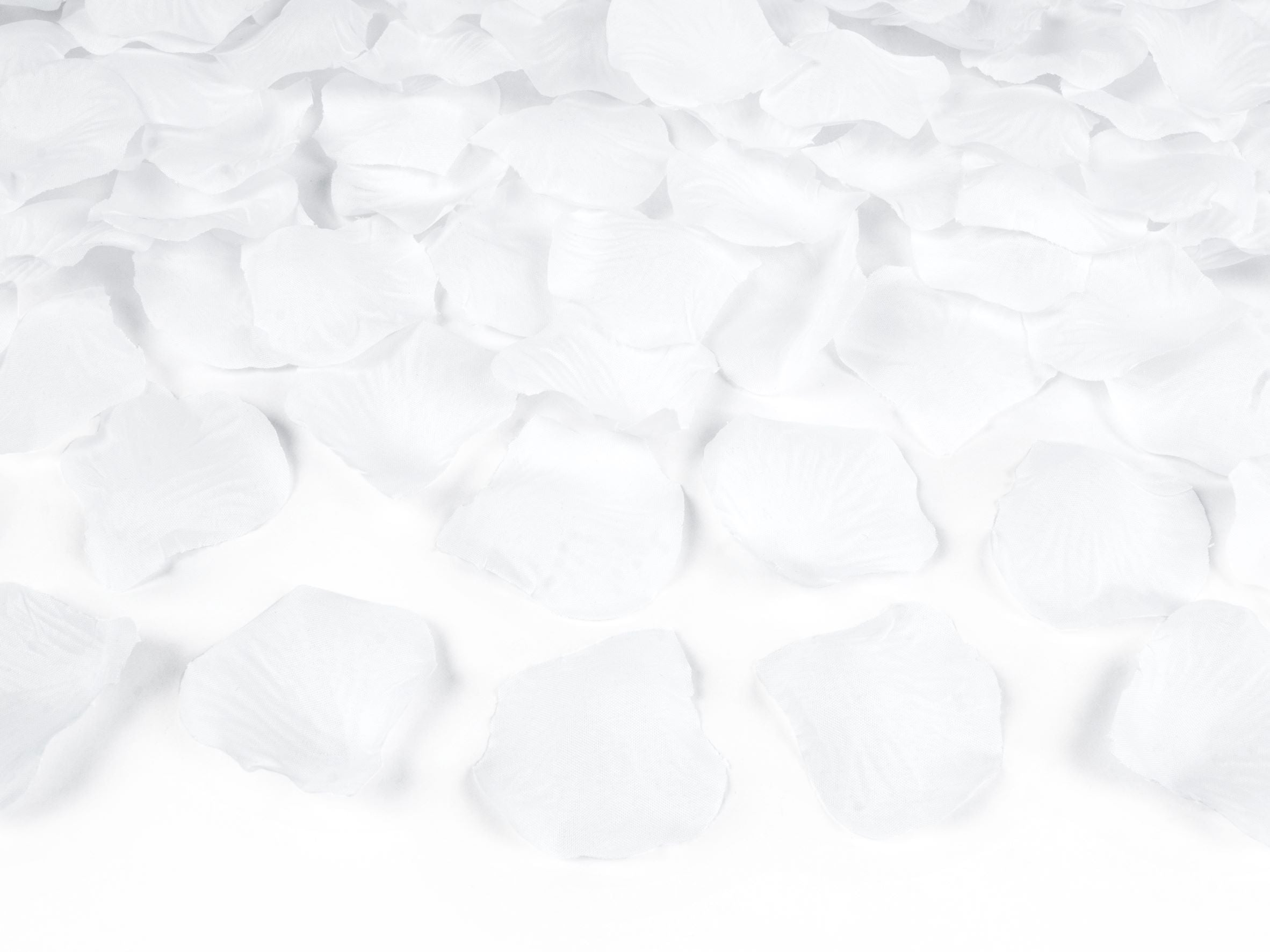 White Rose Petals Pack of 500